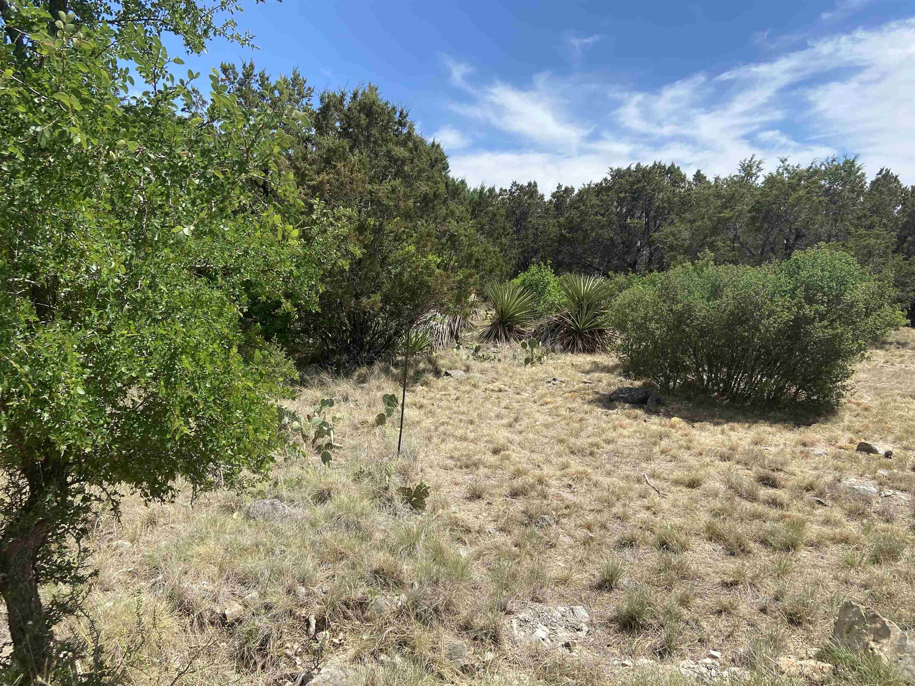 Horseshoe Bay Lt 20102