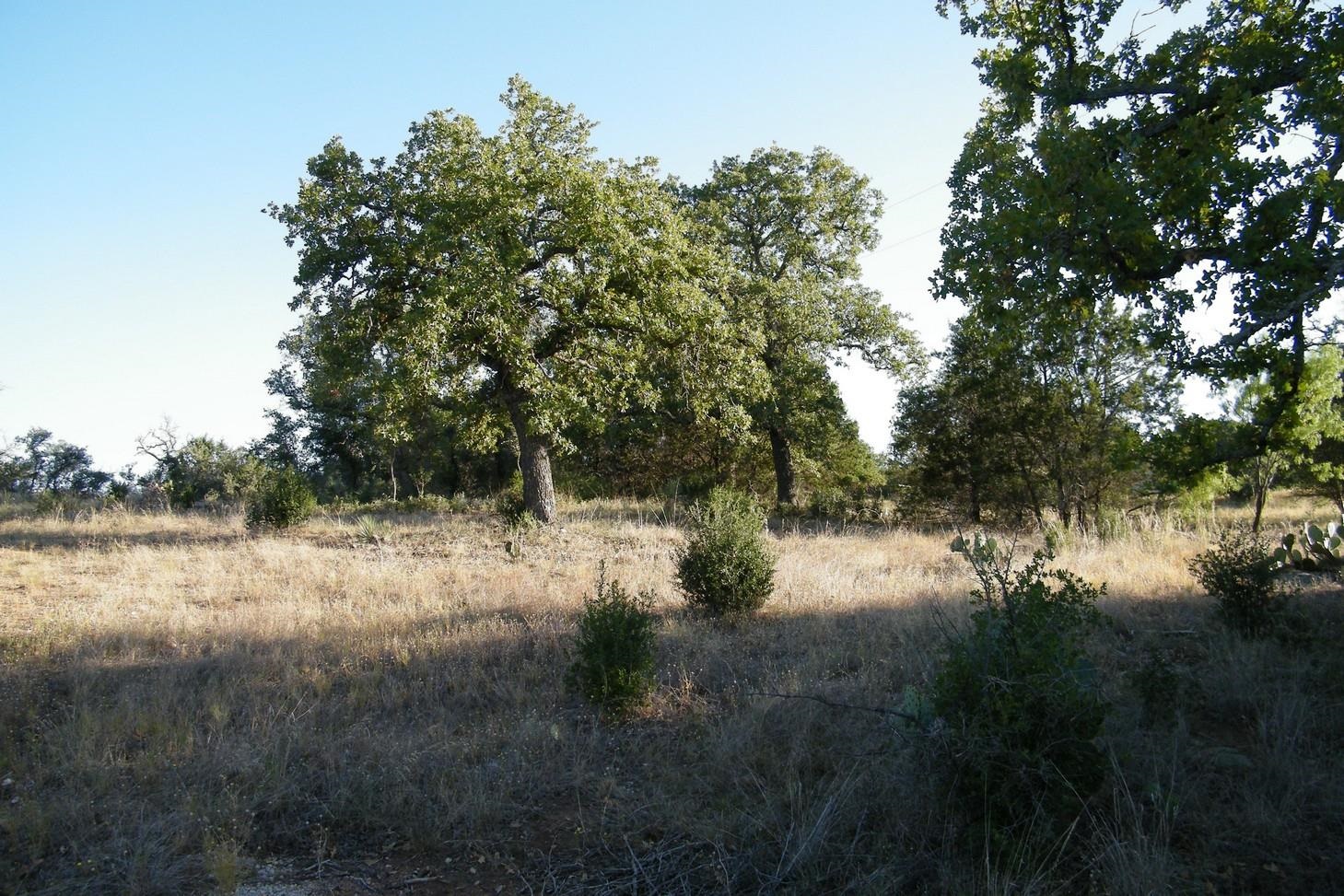 Lot 6, Rocky Hollow Ranch, 10 Ac., Burnet, Tx.
