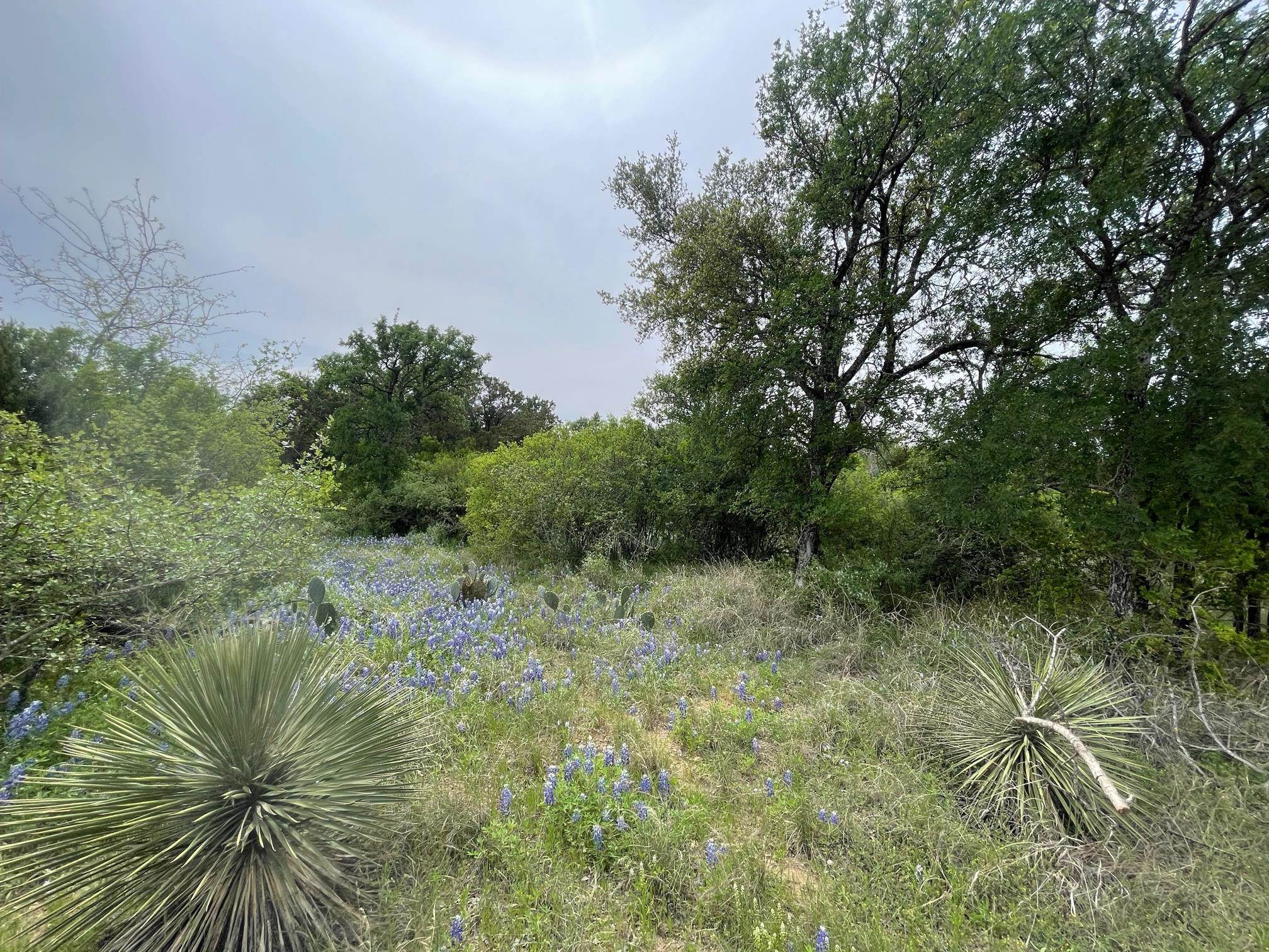 Lots 175 & 176 Hill Wood, Granite Shoals