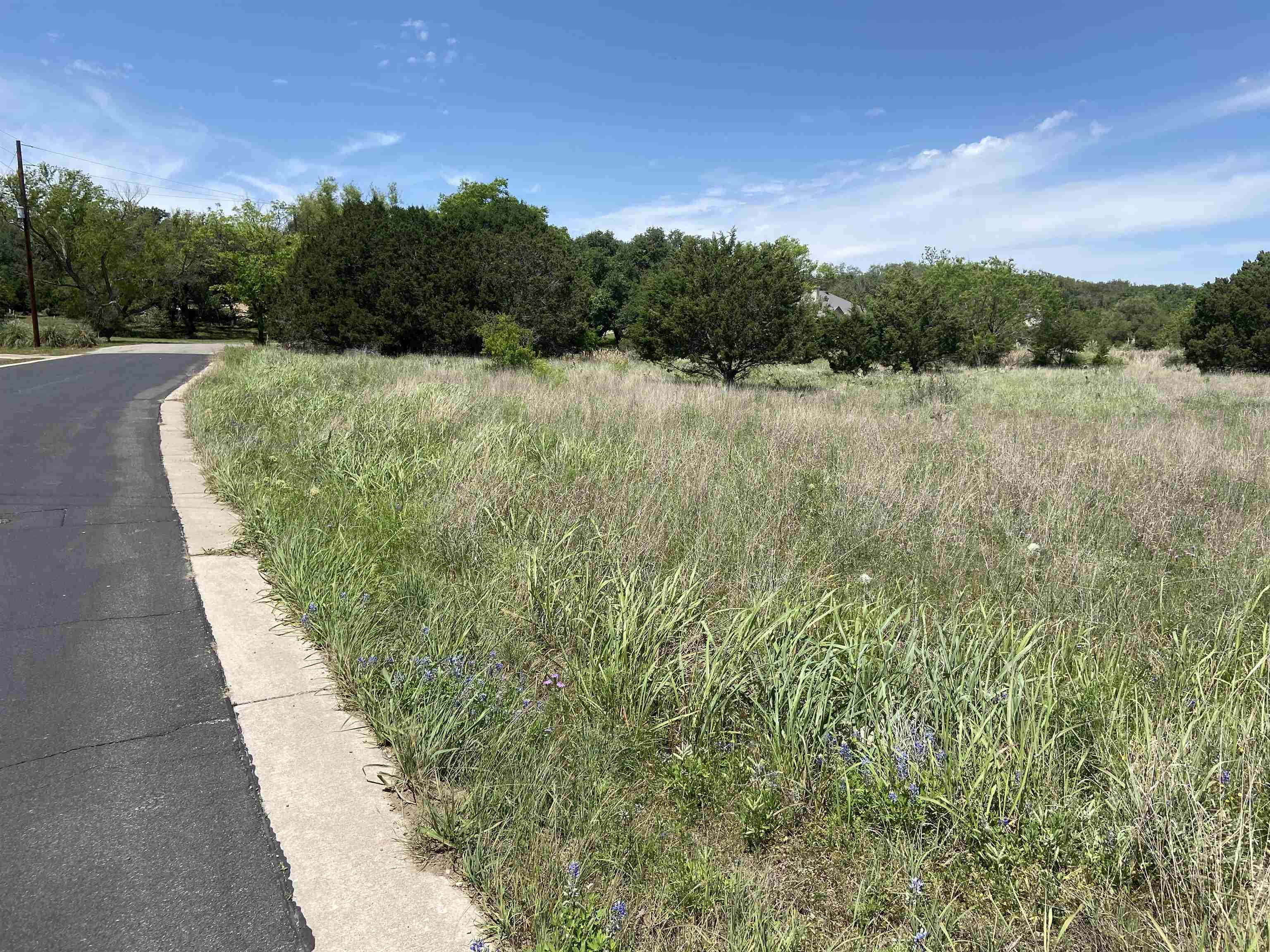 K10227 Bowie Knife, Horseshoe Bay