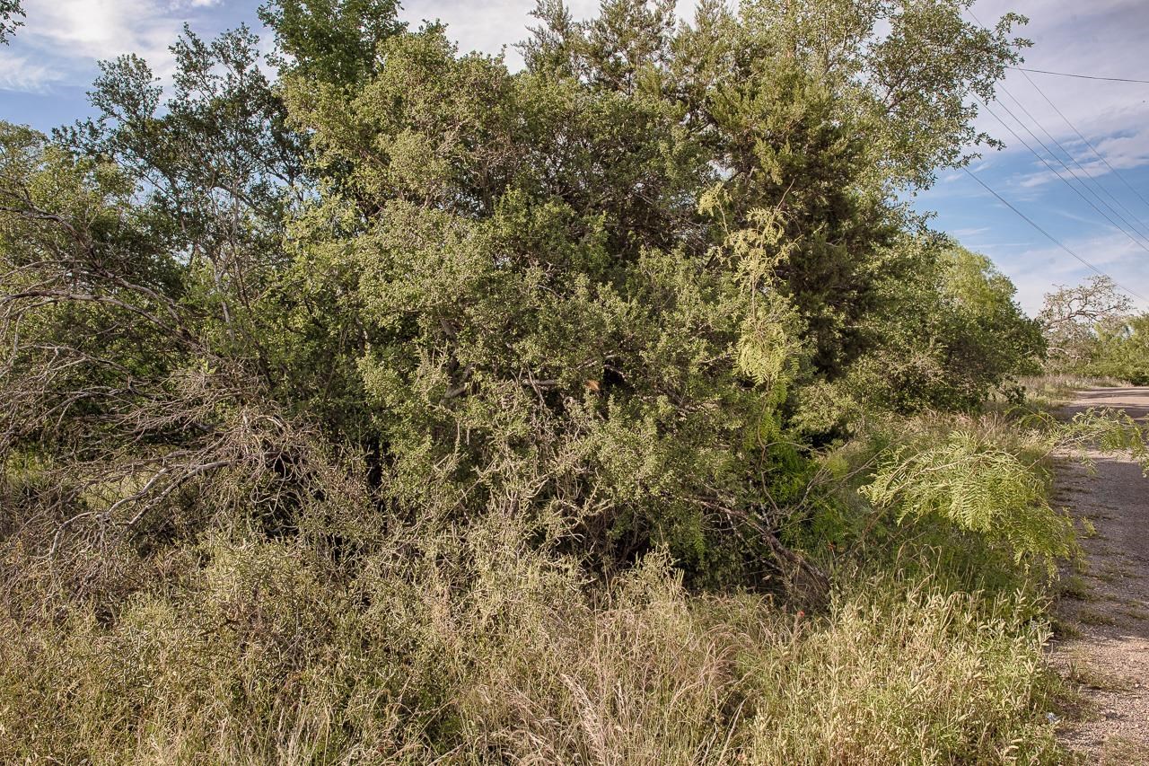 S4240 ELM CREEK LOTS 29 & 30