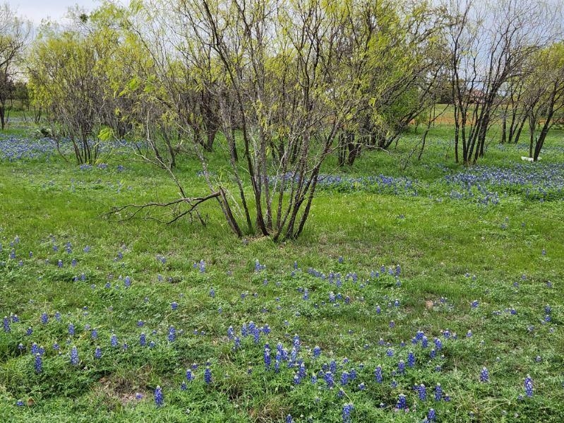 Applehead West Lot 5048 Fox Fur. (107) Fox Fur. Horseshoe Bay, TX 78657