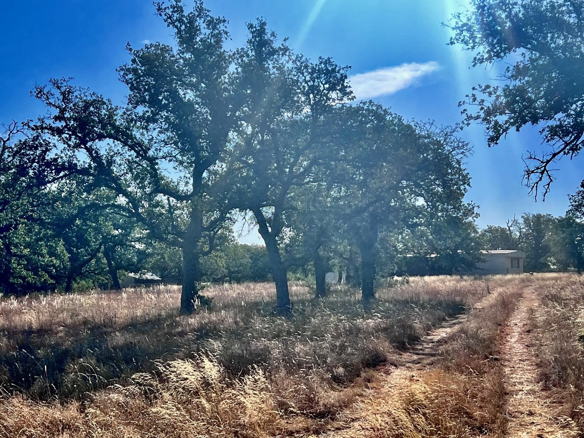 Valley Ranch Lt 50 5.210 ac land acct for MH only 12243