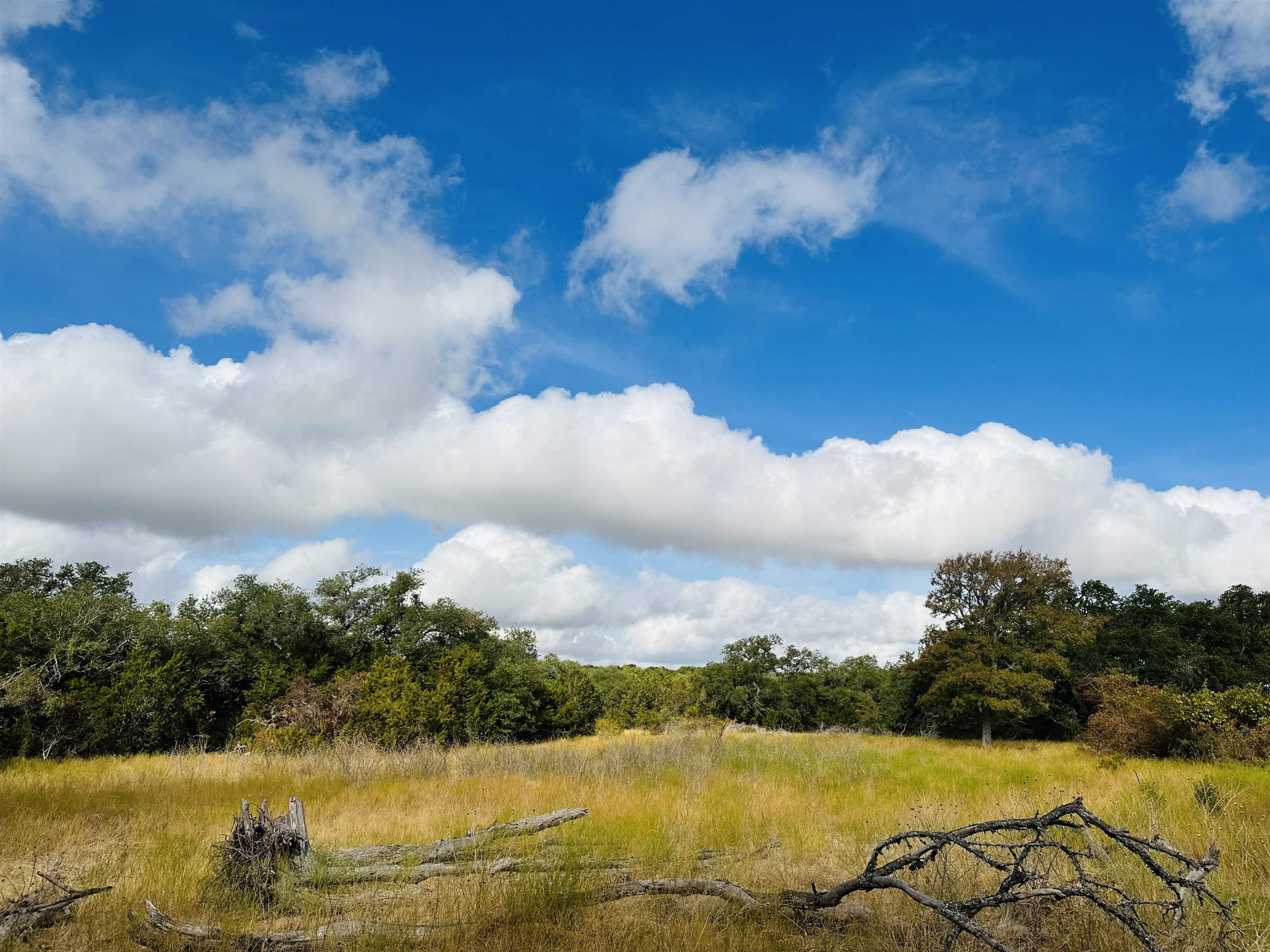 ABS A1194 W.A. STARR, TRACT 1, 25.00 AC