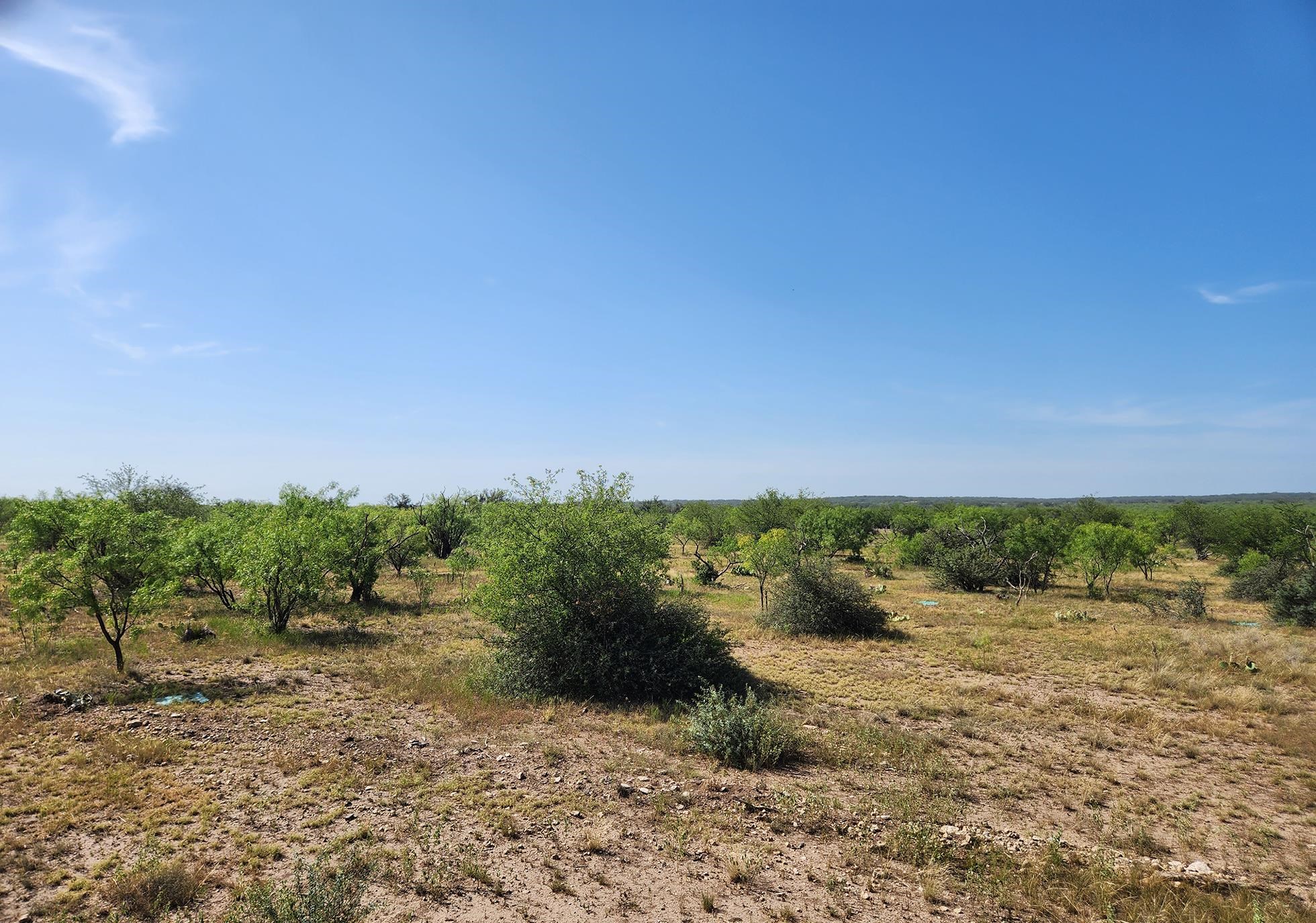 Cave Wells Ranch Phase 2, Tract 54, Robert Winslow Abst. 1611, Sec. 8