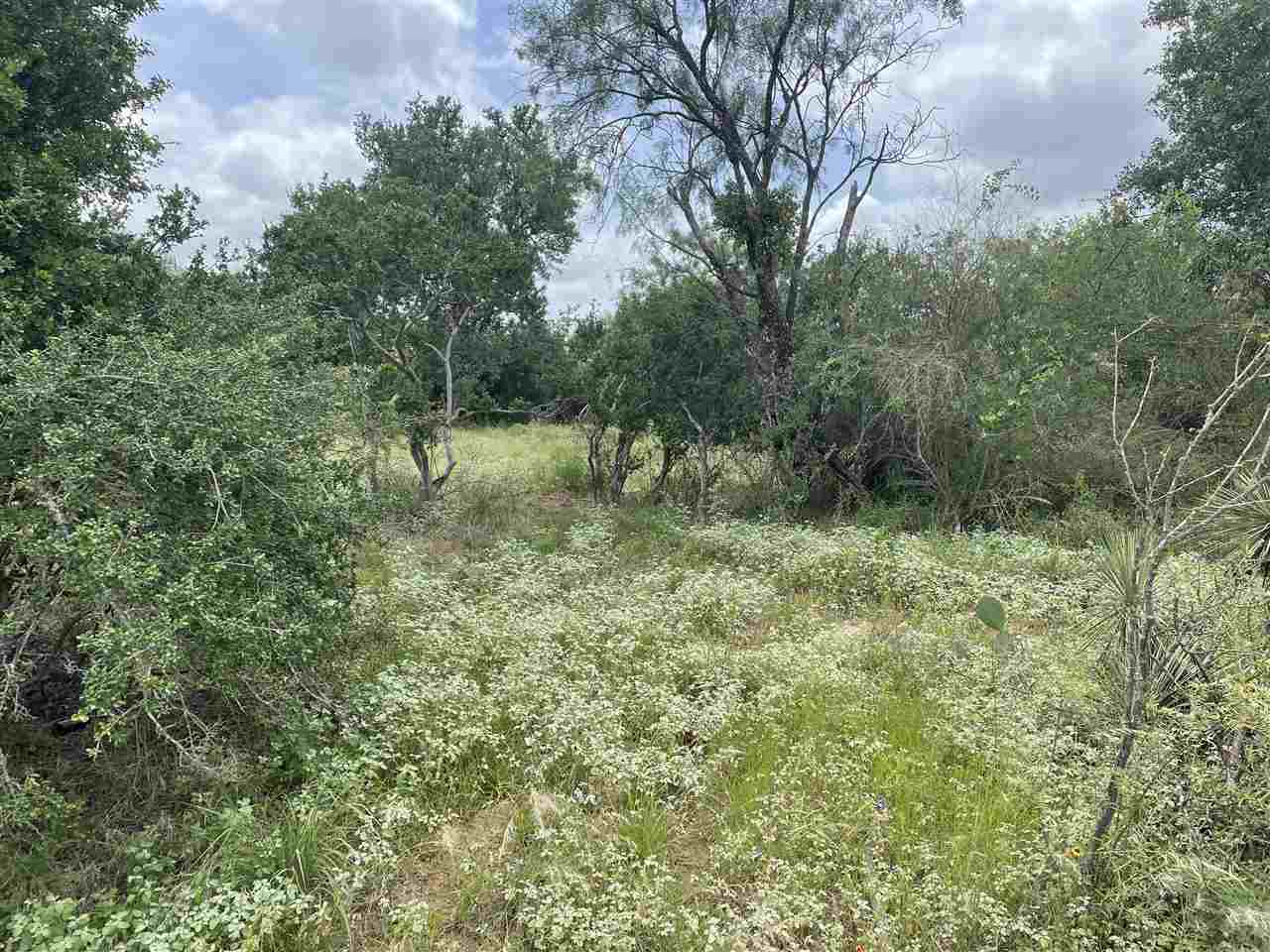 S6010 LIVE OAK LOT 1015 & 1016
