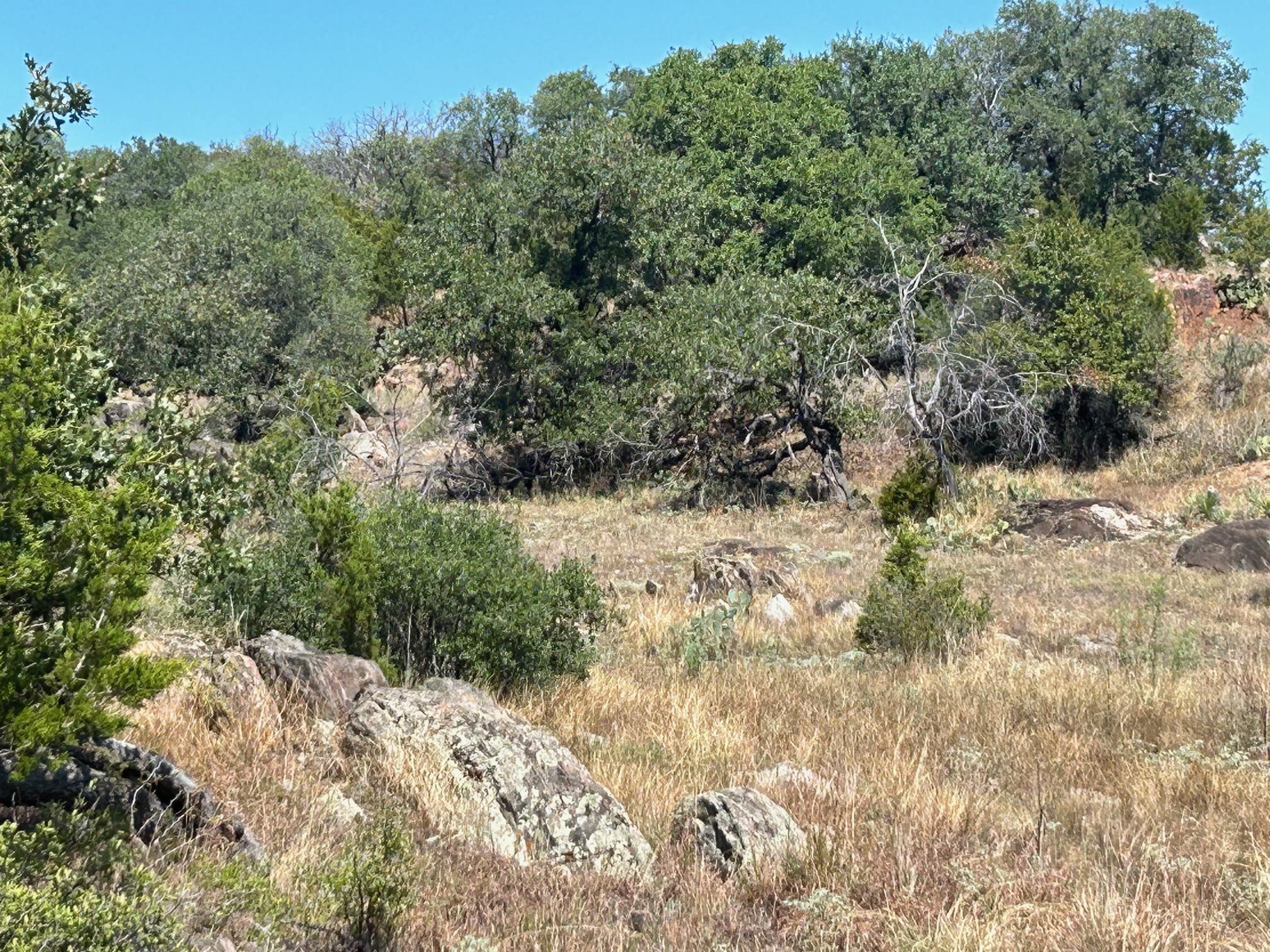 Horseshoe Bay West Lt W2003A