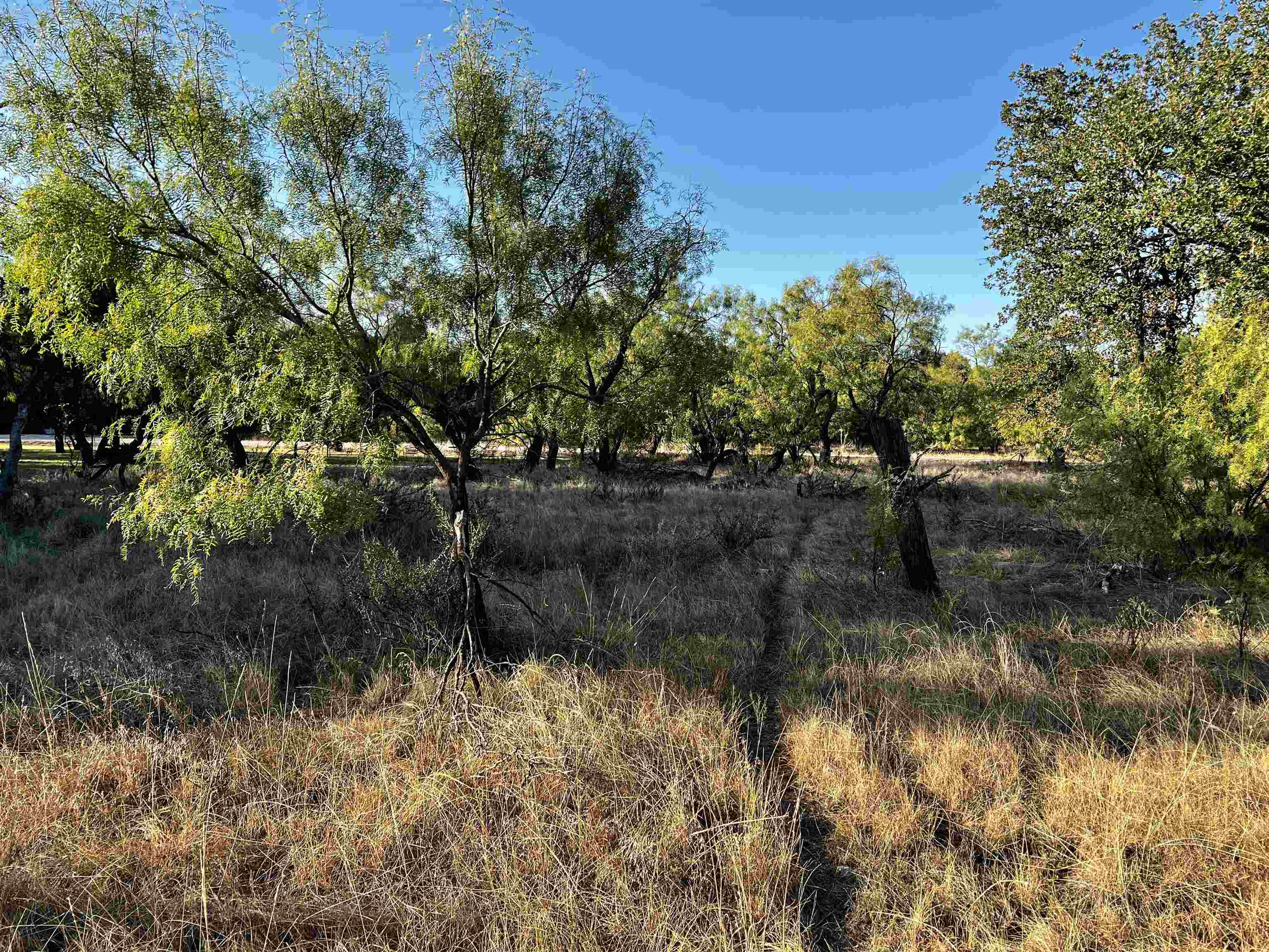 OAK POINT PHASE TWO, LOT 958, ACRES 0.058