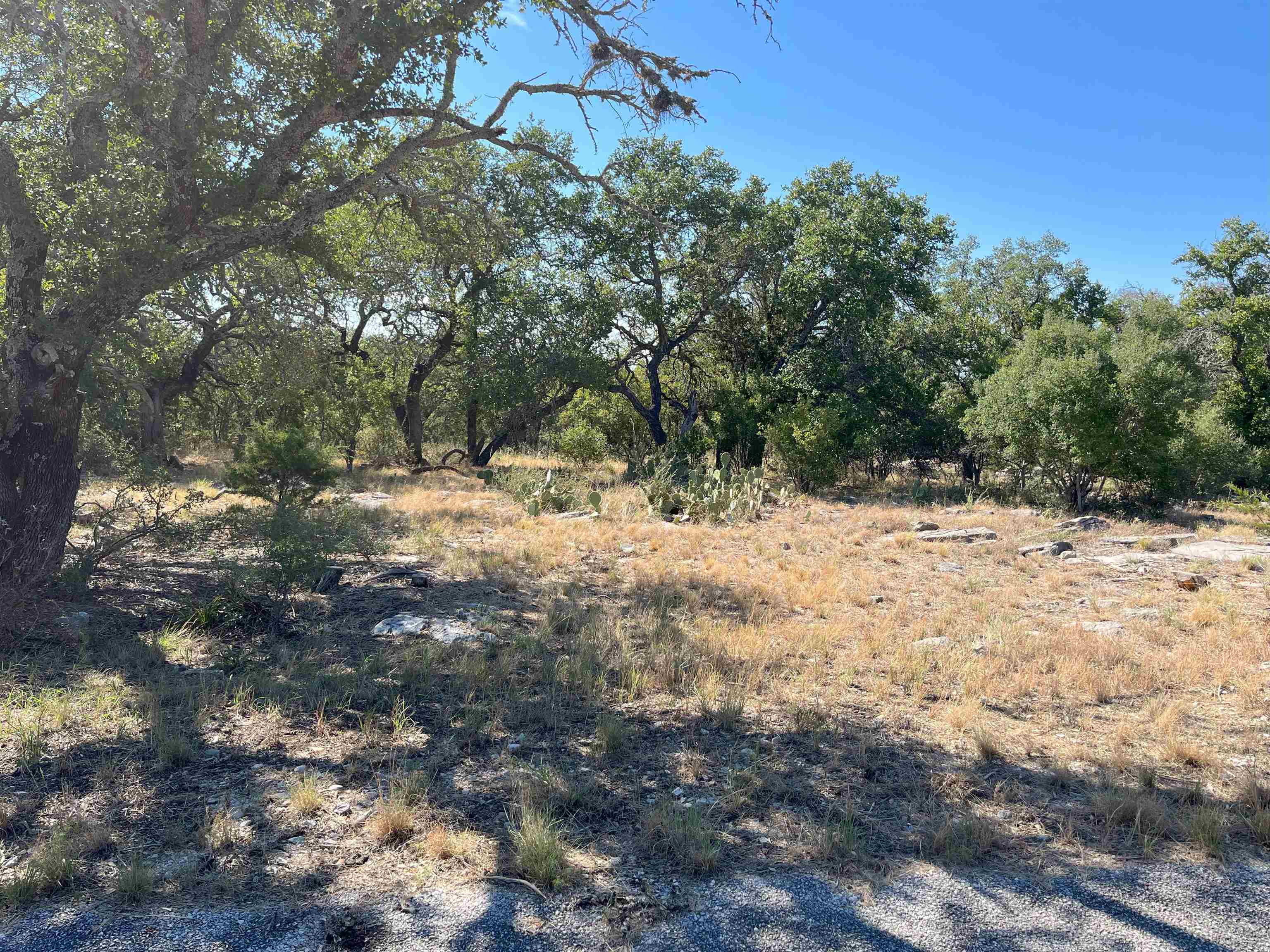 Horseshoe Bay LT 47045