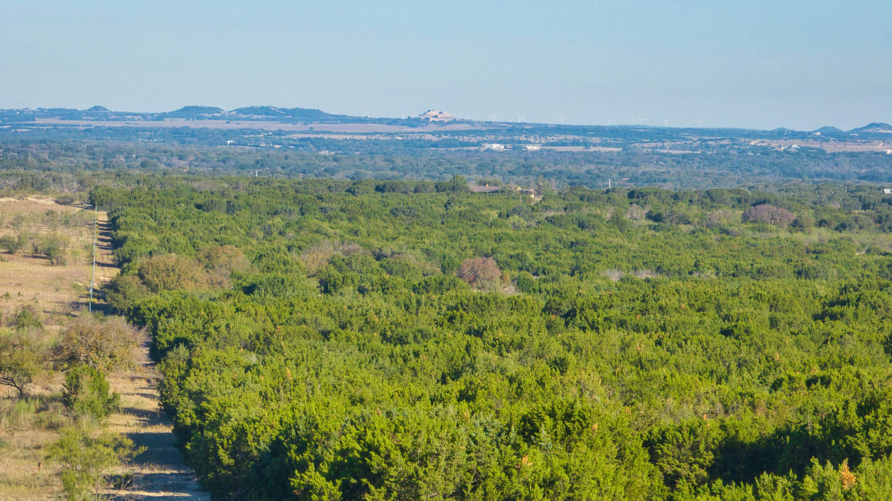 ABS A0526 JAMES LEONARD, BLOCK 11, 93.0 ACRES