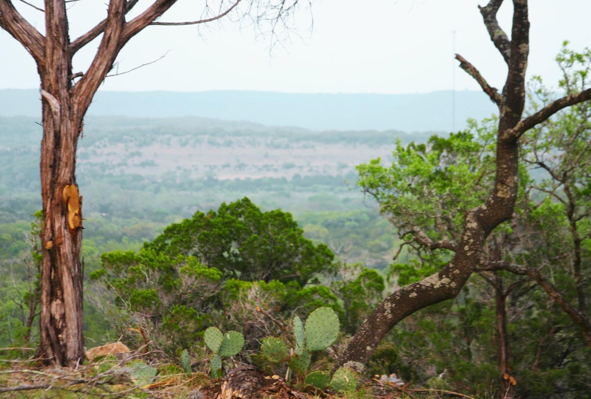 6724 Singleton Bend, Marble Falls