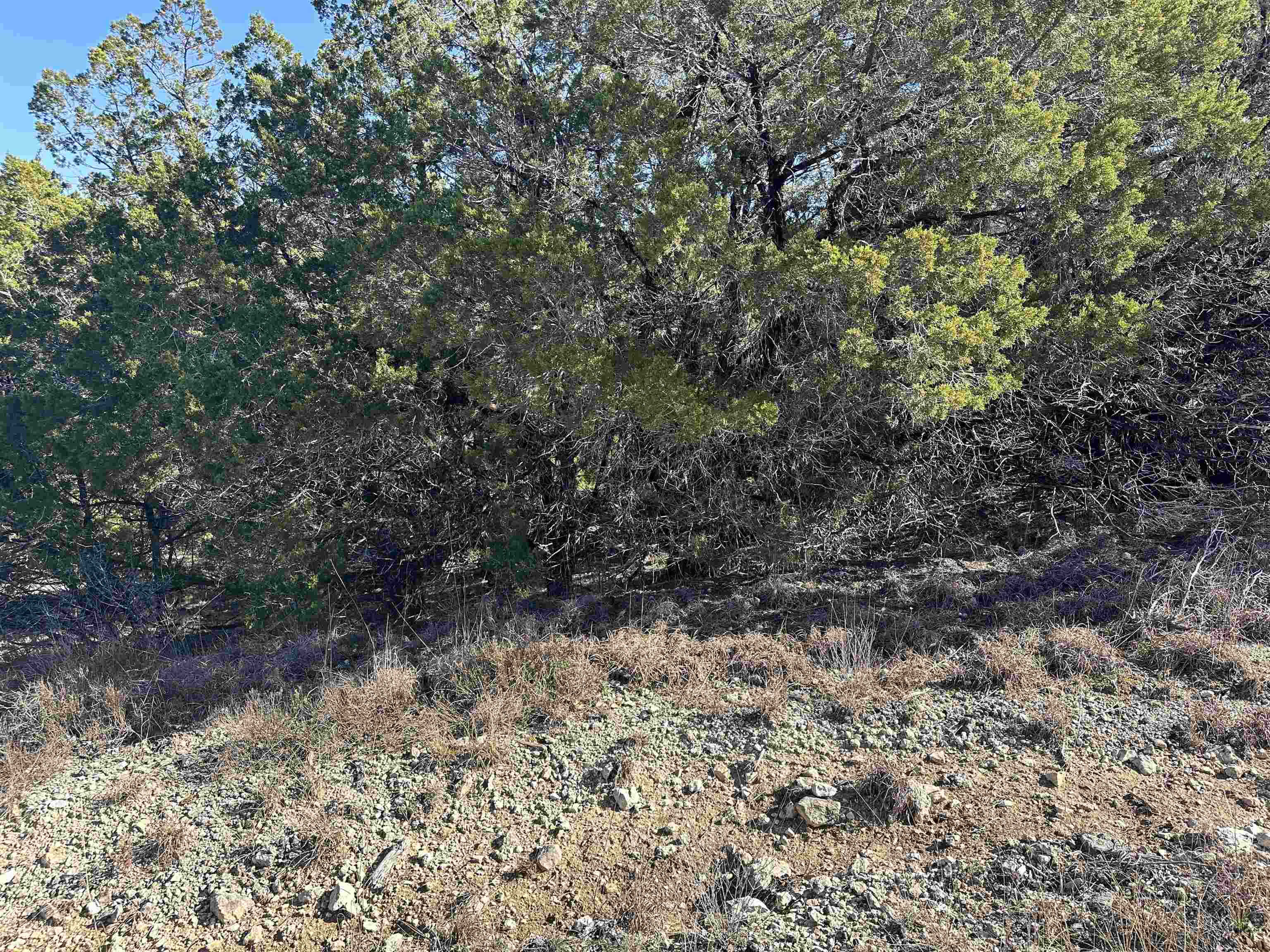 LOT 29114 HIGHLAND LAKE ESTATES SEC 29