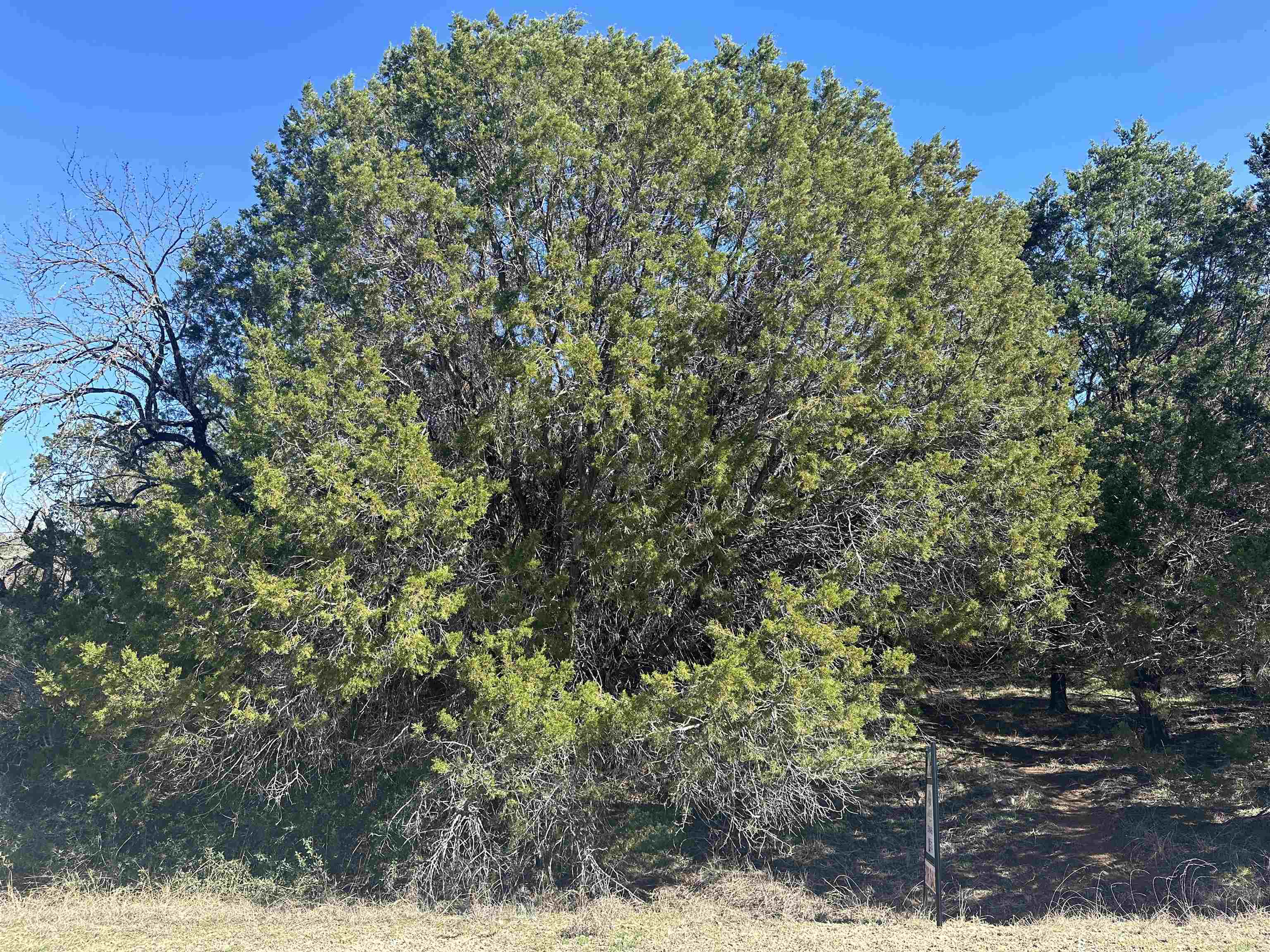 LOT 2304 COUNTRY CLUB ESTATES SEC 9