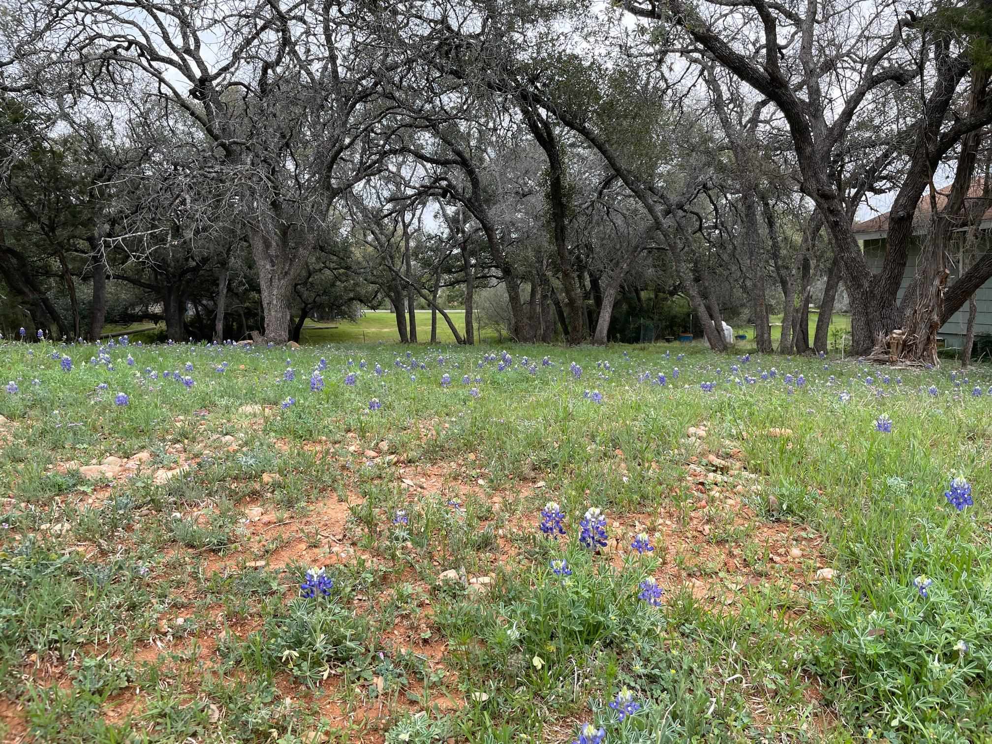 Lot 155 Wanta-Hide-Away, Spicewood