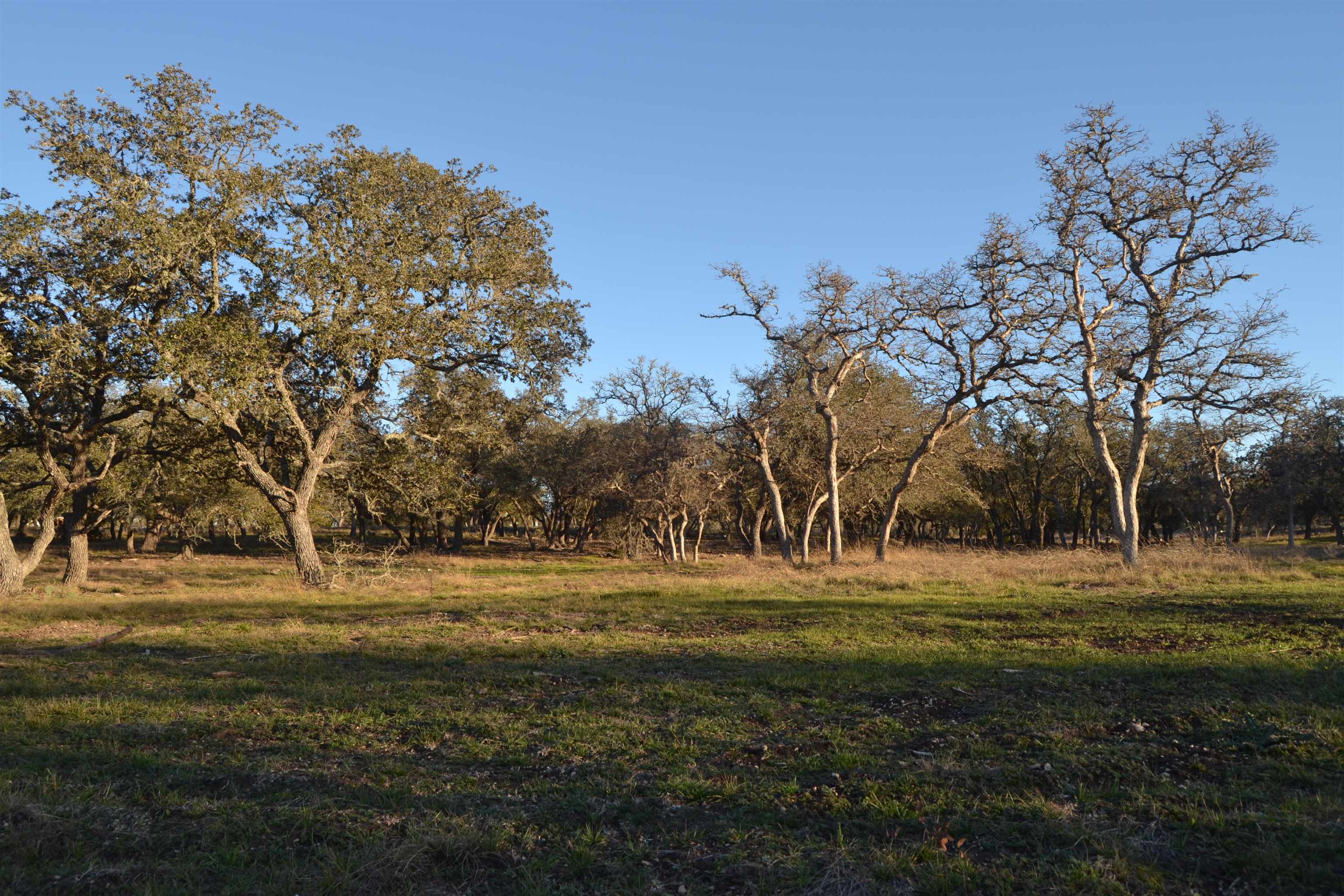 Reservation Ranch Lot 21, 4.3