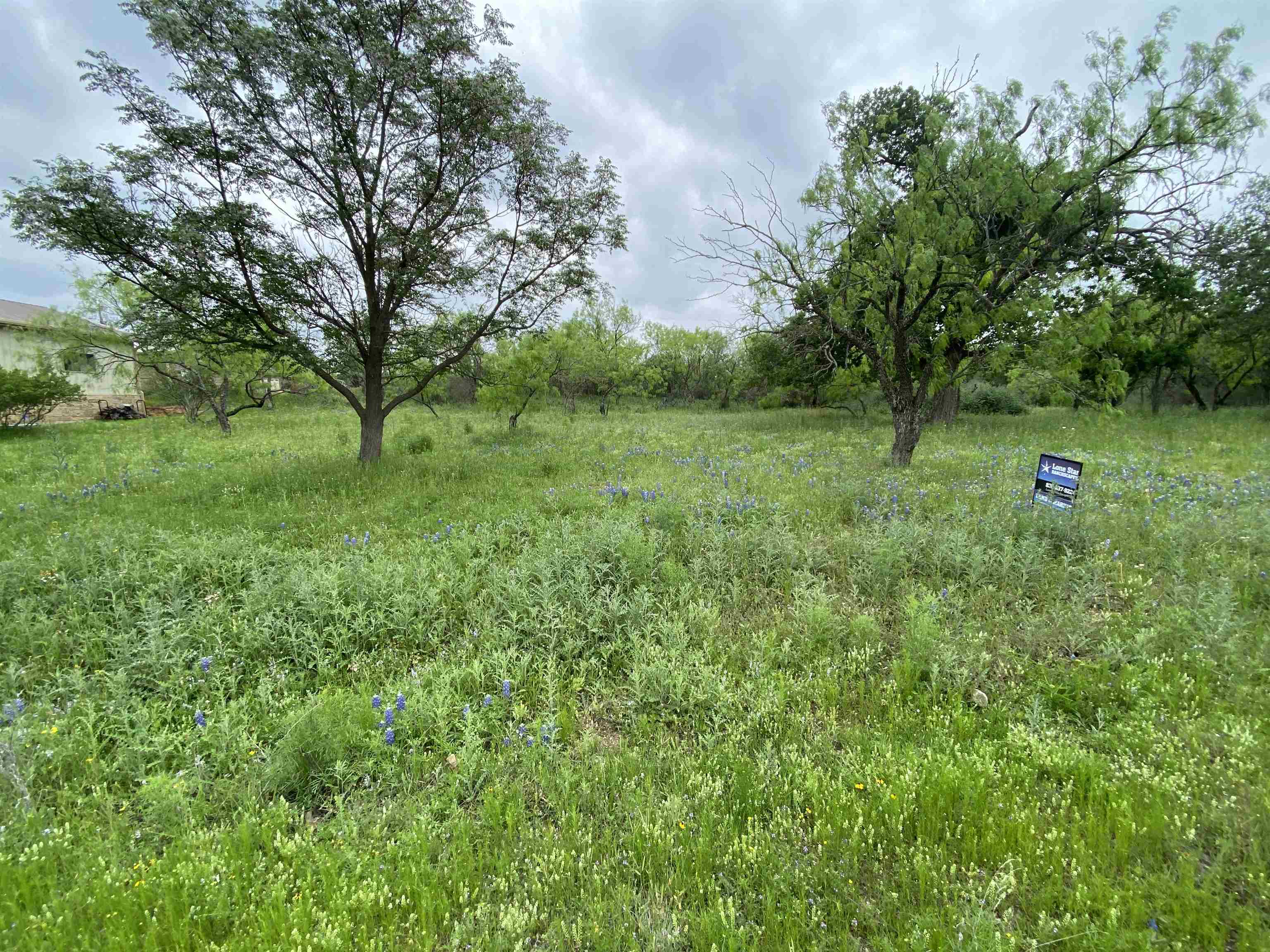 S6010 LIVE OAK LOT 397