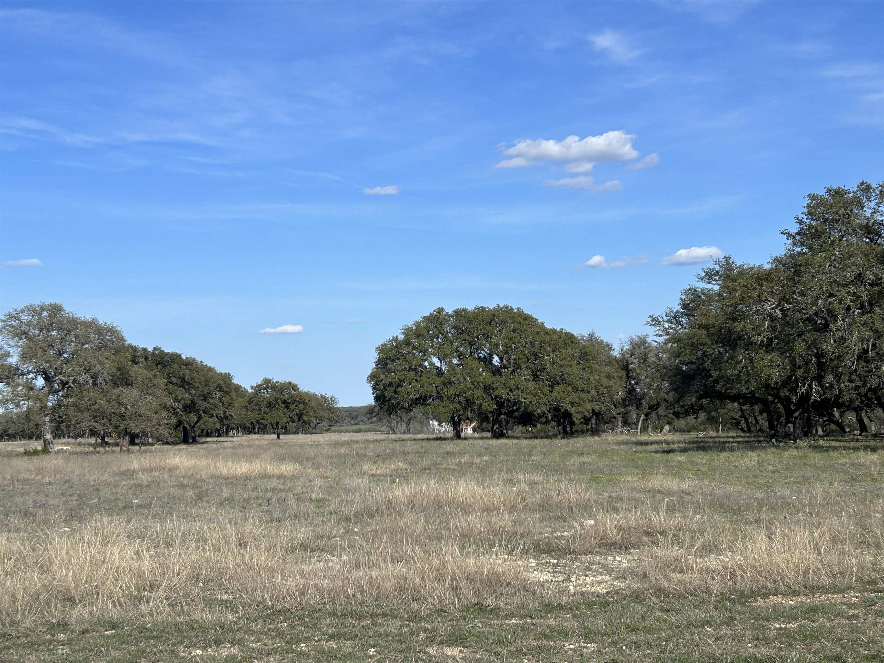 Lot 140, Ranches at Blackbuck Ridge, Section 2, Burnet County, Texas.