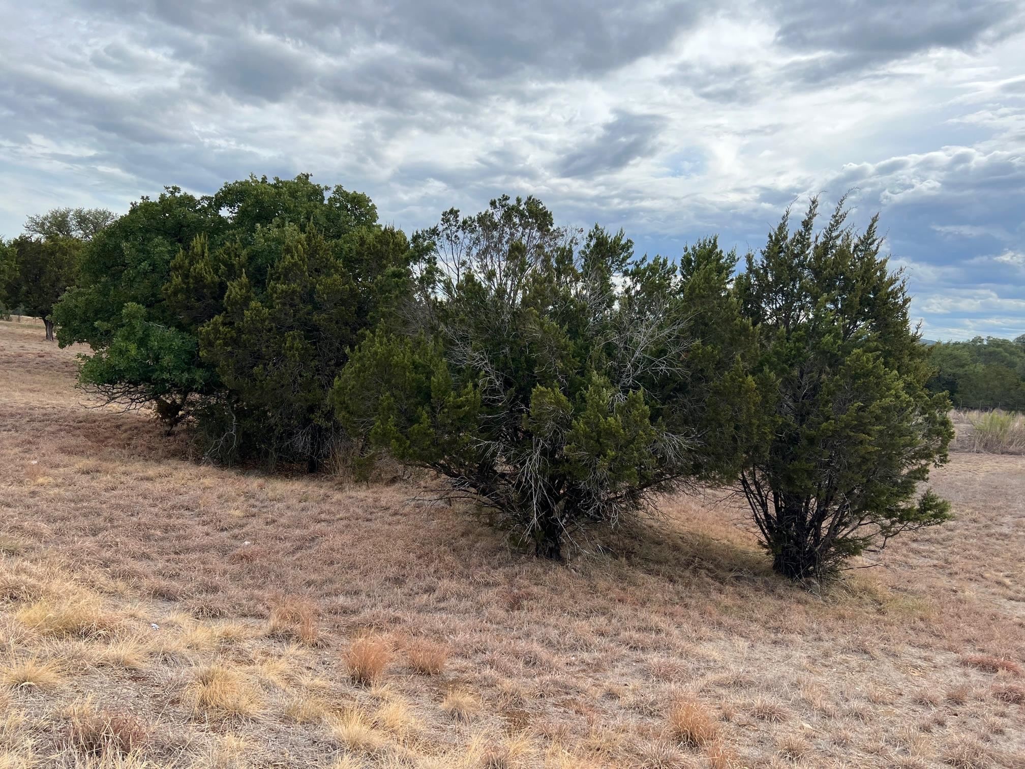 HORSESHOE BAY WEST LT W12002