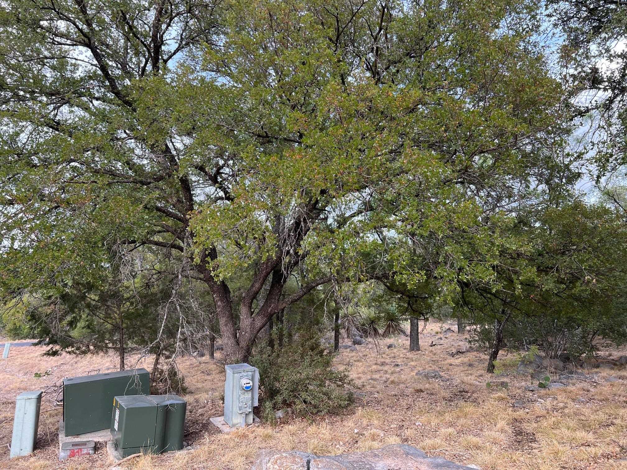 HORSESHOE BAY LT 4133