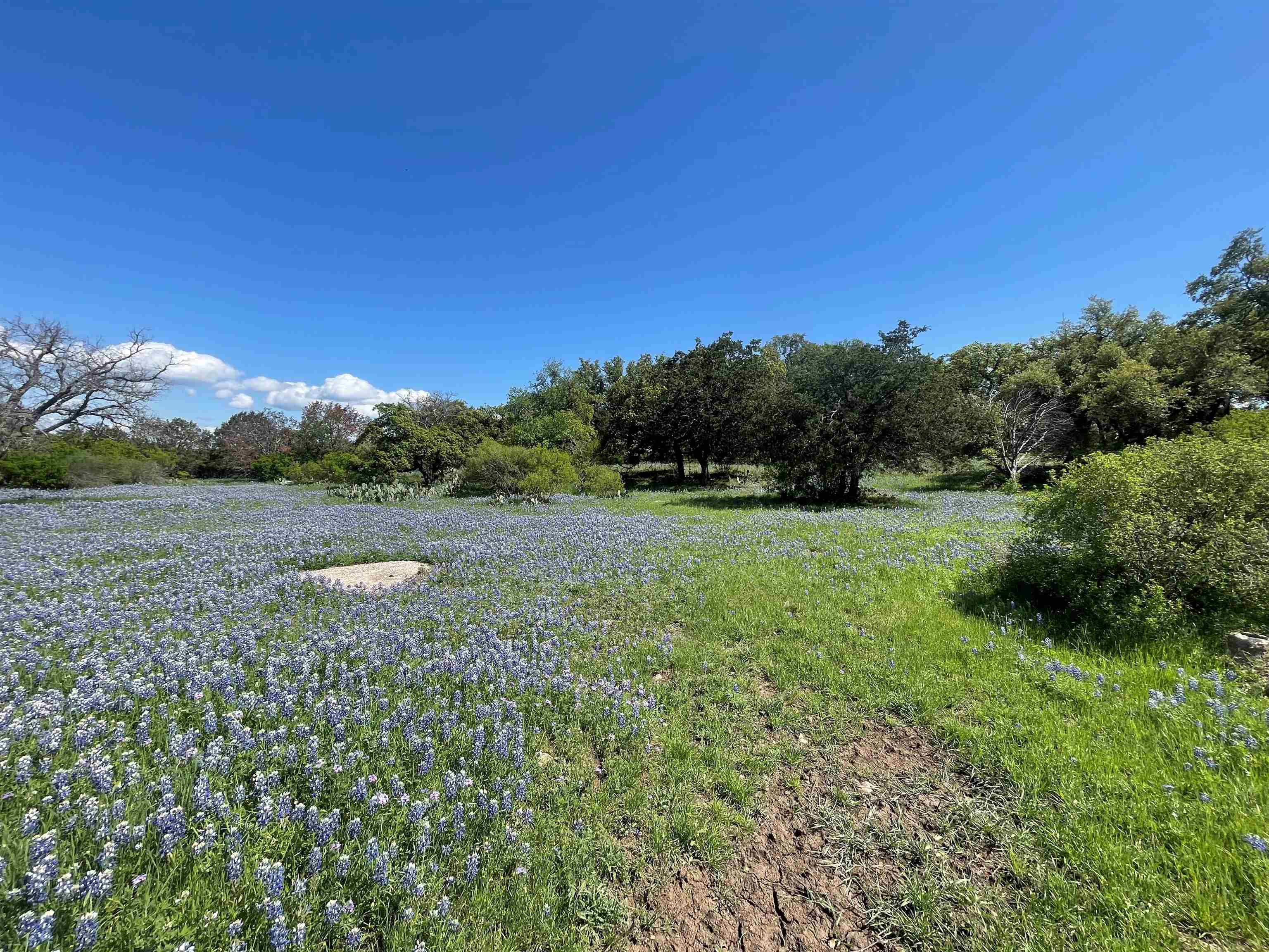 HORSESHOE BAY LT 44024-A and 44024-B   Llano County