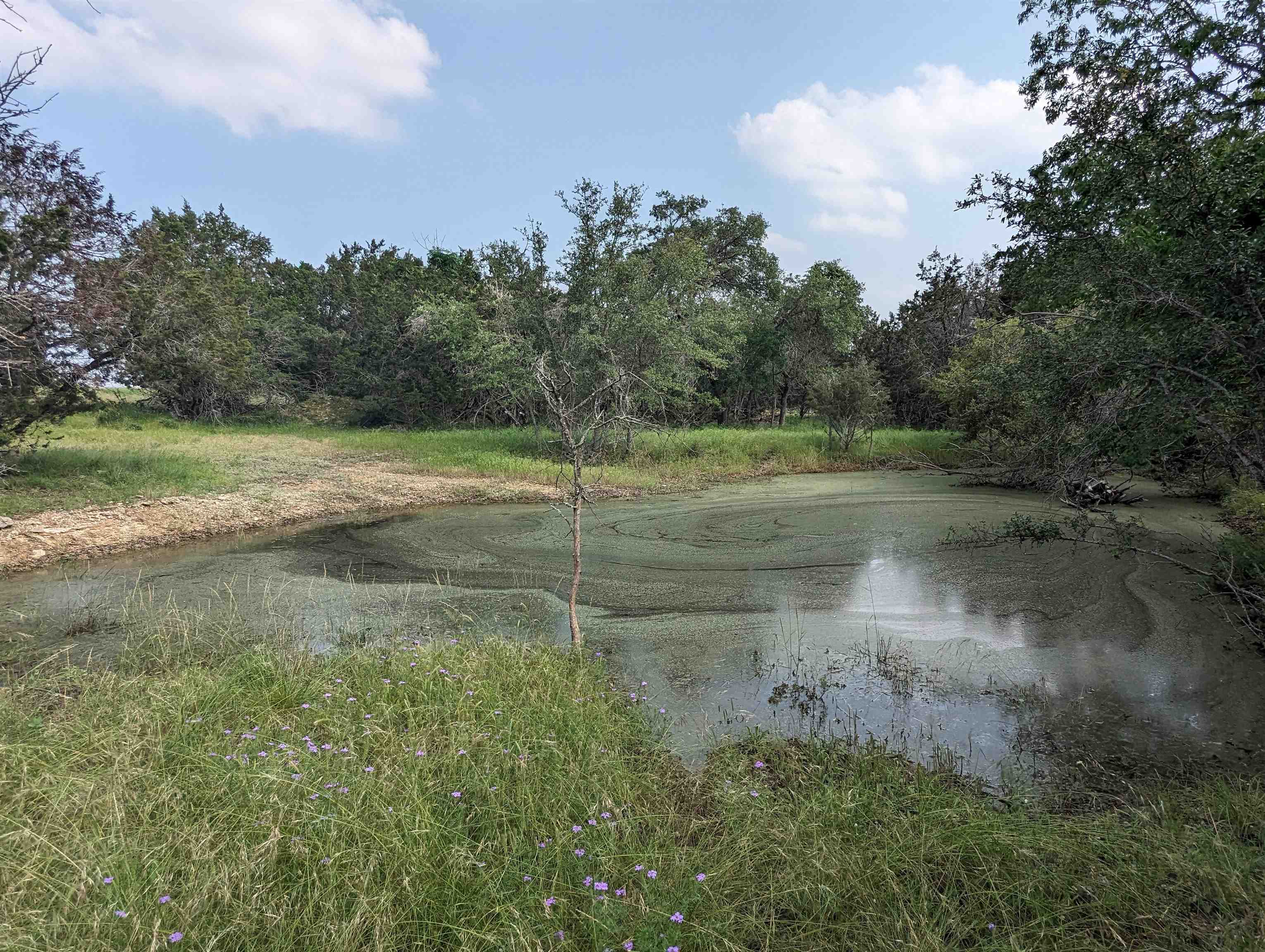 5.0 Ac., Lot 62, Briggs Estates, Burnet County, Texas    Known as 304 CR229, Briggs Tx 78608