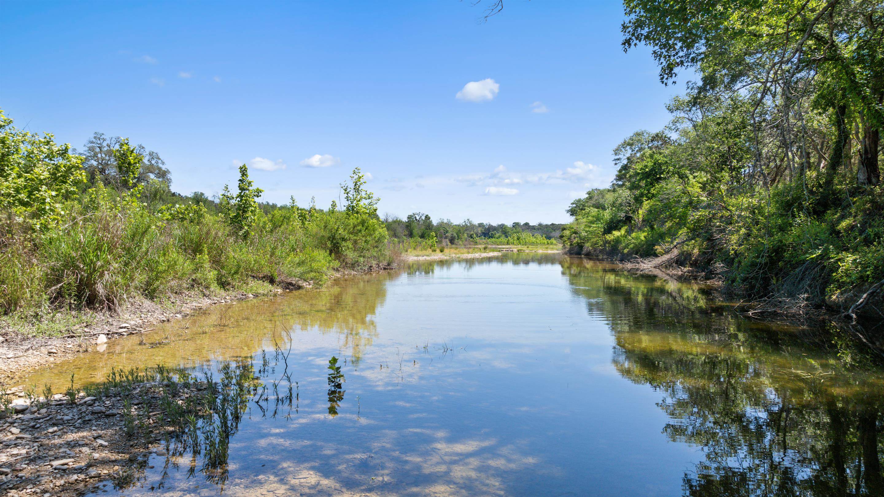 25.01 AC OUT OF ABS A0387 SURVEY 17 HENRY MANTON,ACRES 94.56