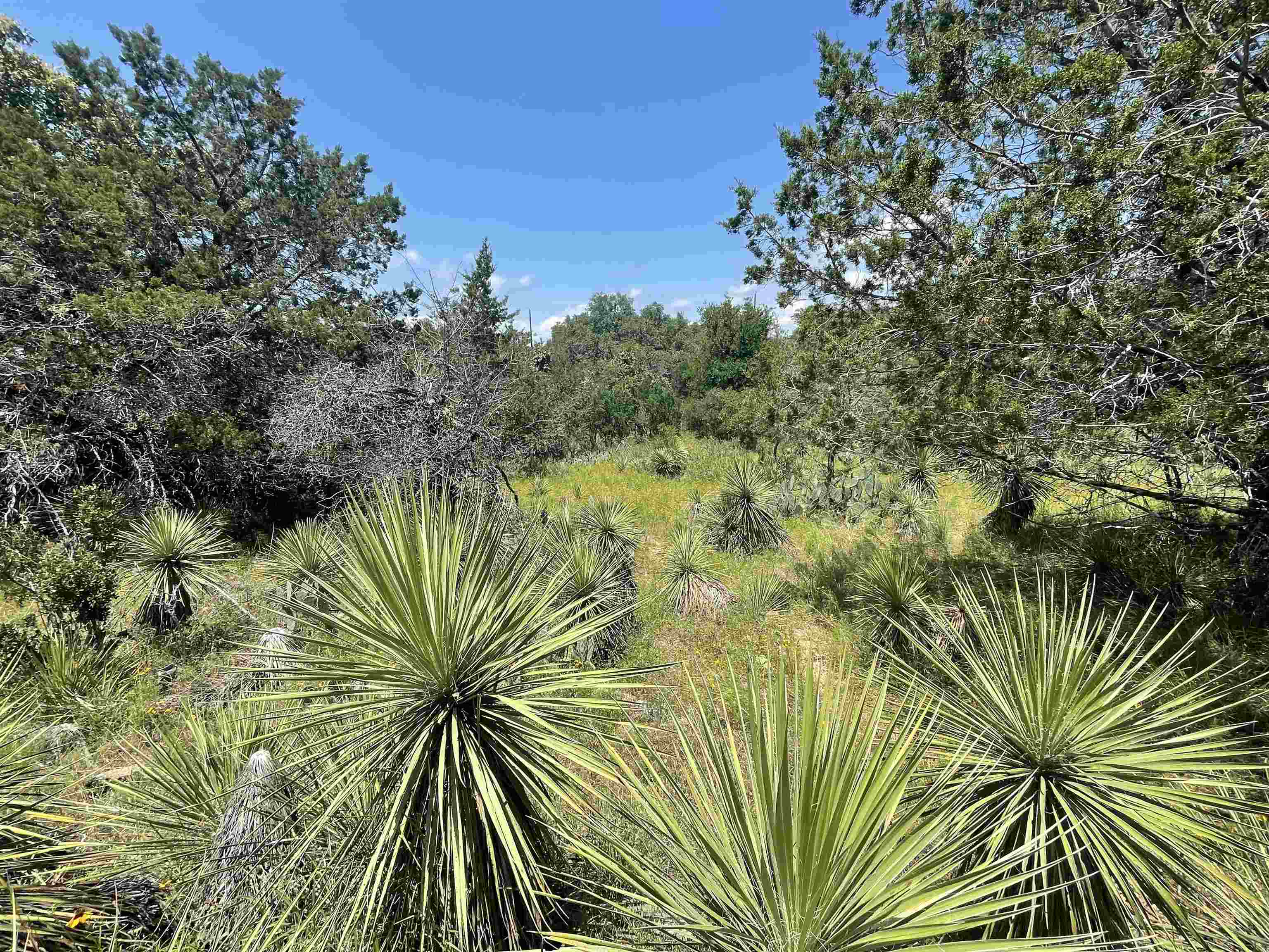 GREENCASTLE (SHERWOOD SHORES) LOTS 86, 87, 132