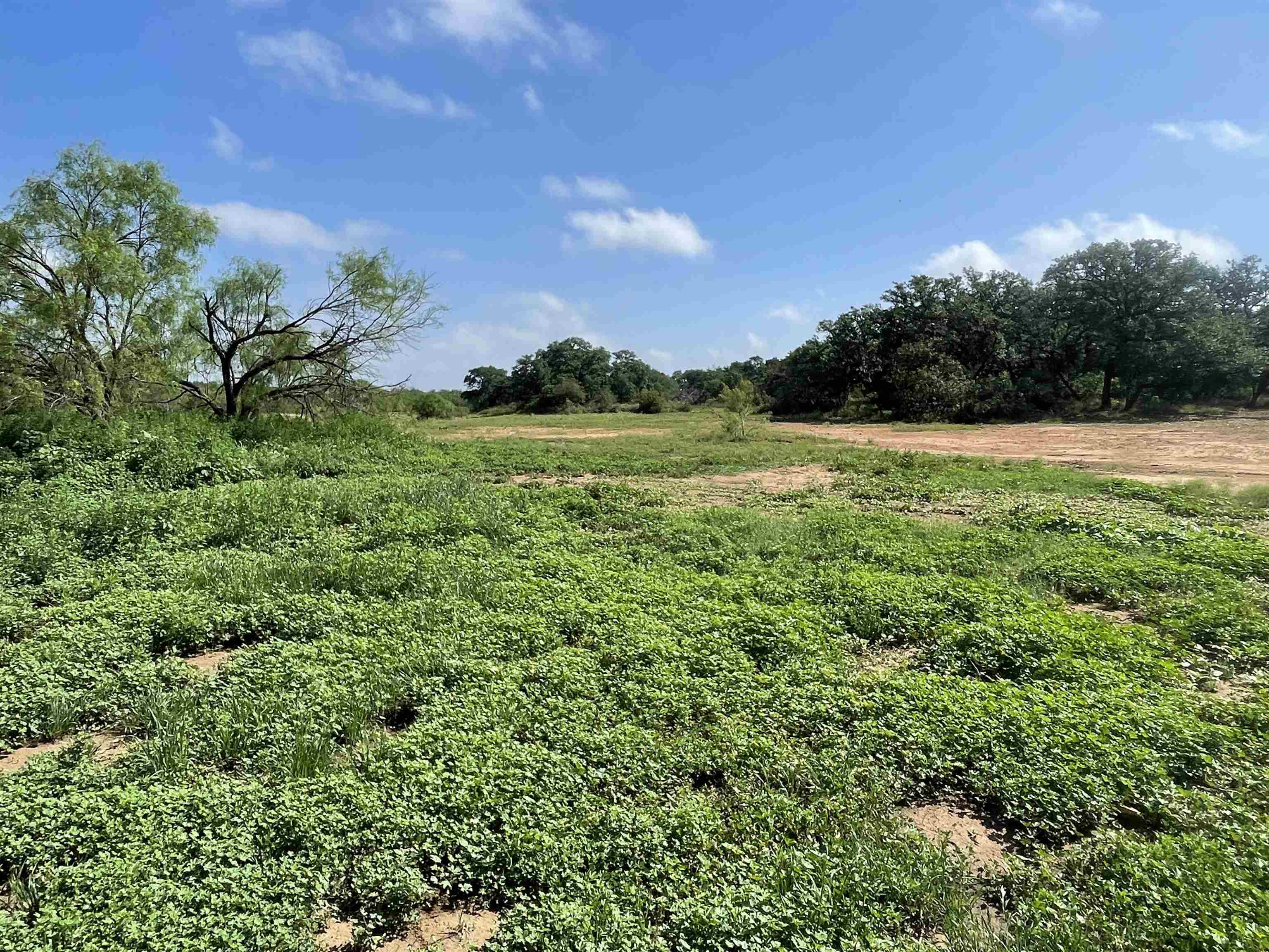 84.04 acres more or less out of the James Ellen Survey 368, Abstract 236, located in Cherokee.