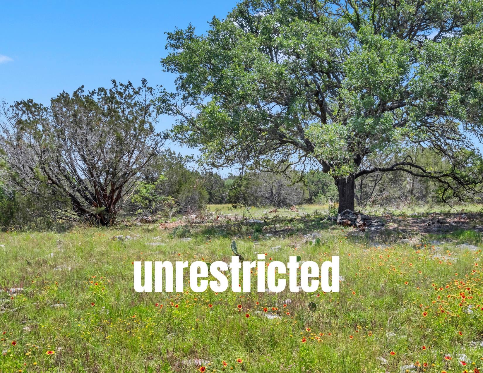 Being 10 acres out of ABS A0375 T.W. GIBBS, TRACT 3, 30.01 ACRES