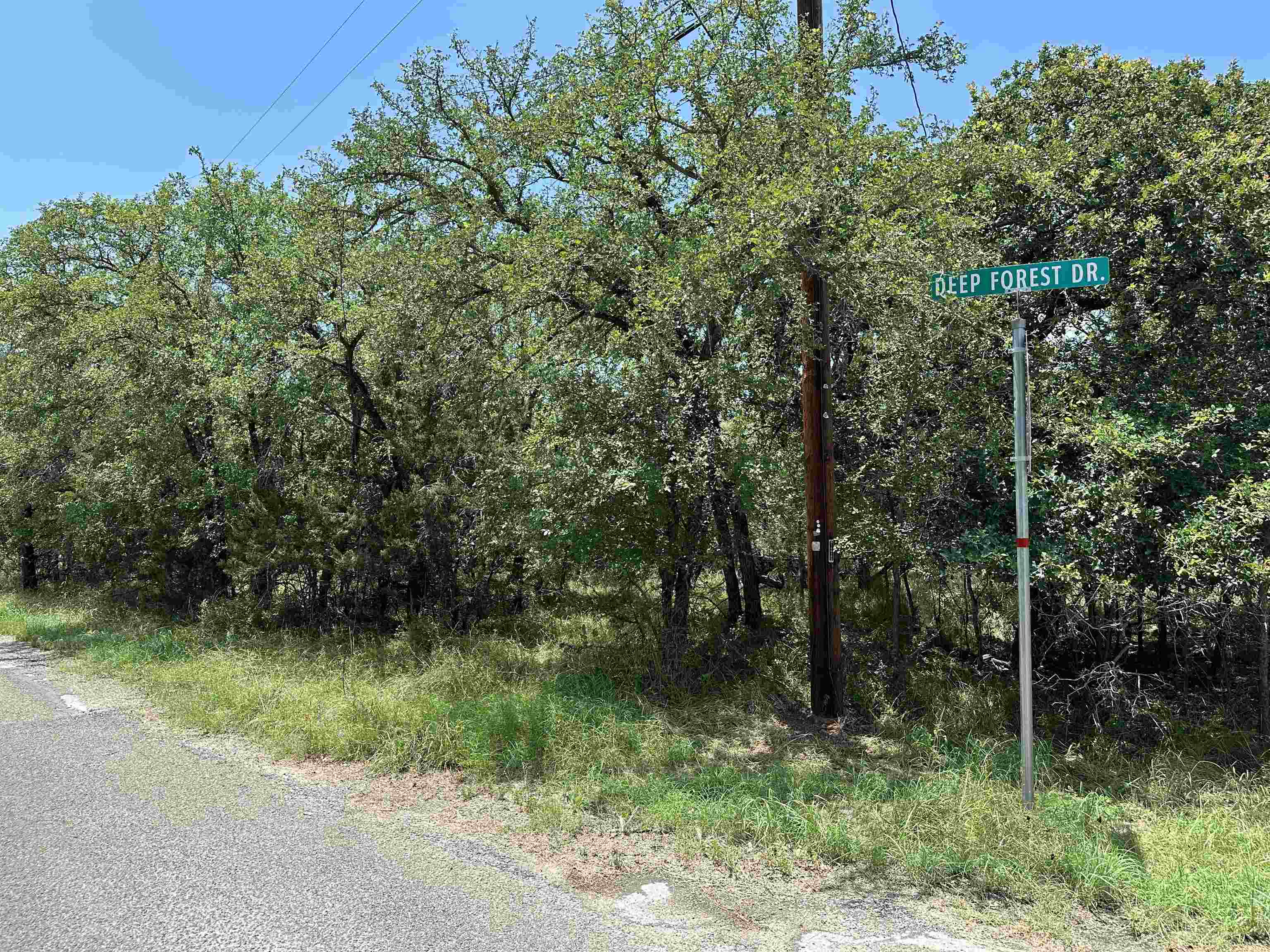 S4560 FOREST HILLS LOT 438, 439, & 484