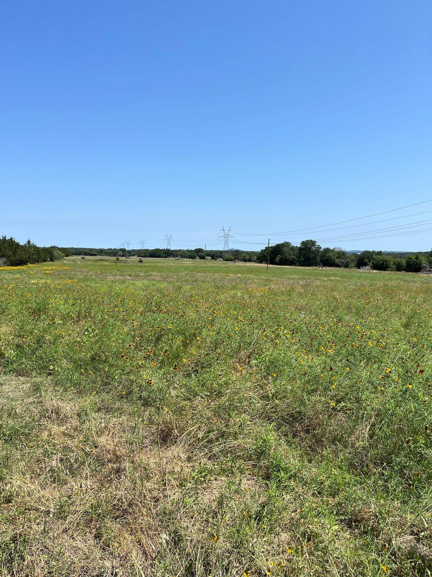 10.5 +- ACRES to be determined by survey; ABST: 0488 SURV: HUGH MCCOLLUM