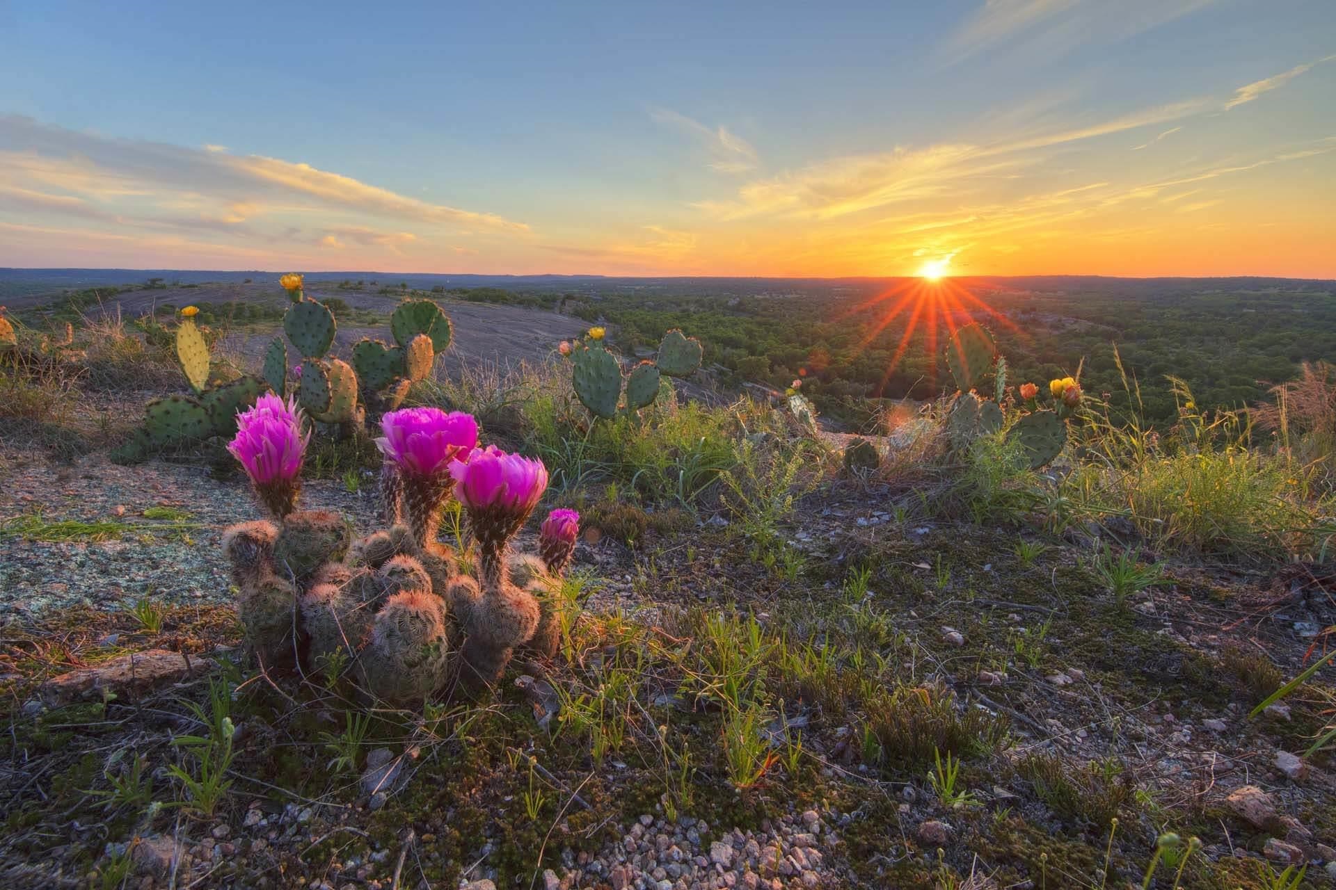 S3173 BIG CREEK RANCH LOT 227, PHASE 2, 1.46