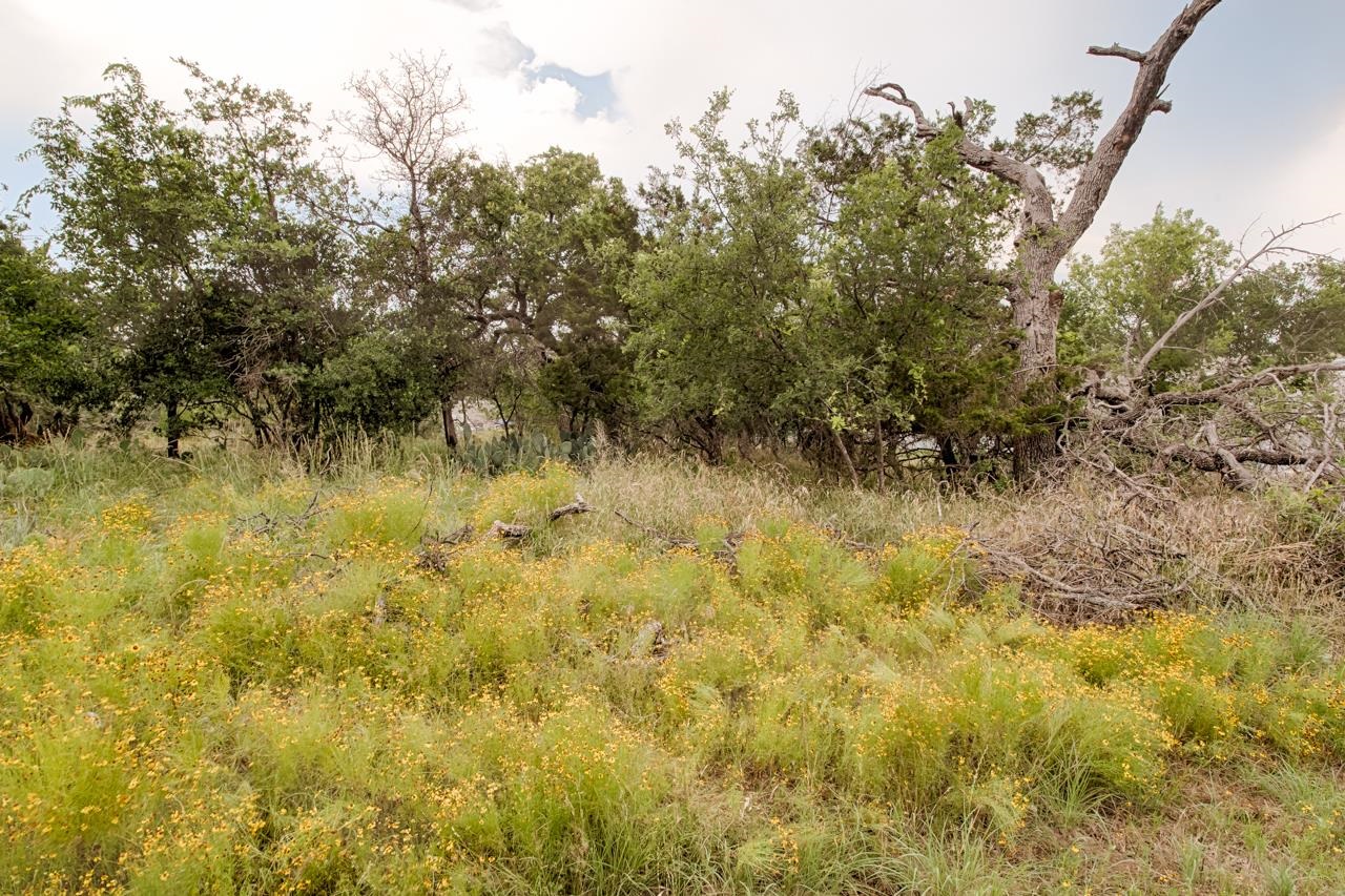 S6560 MYSTIC CASTLE (SHERWOOD SHORES) LOT 818