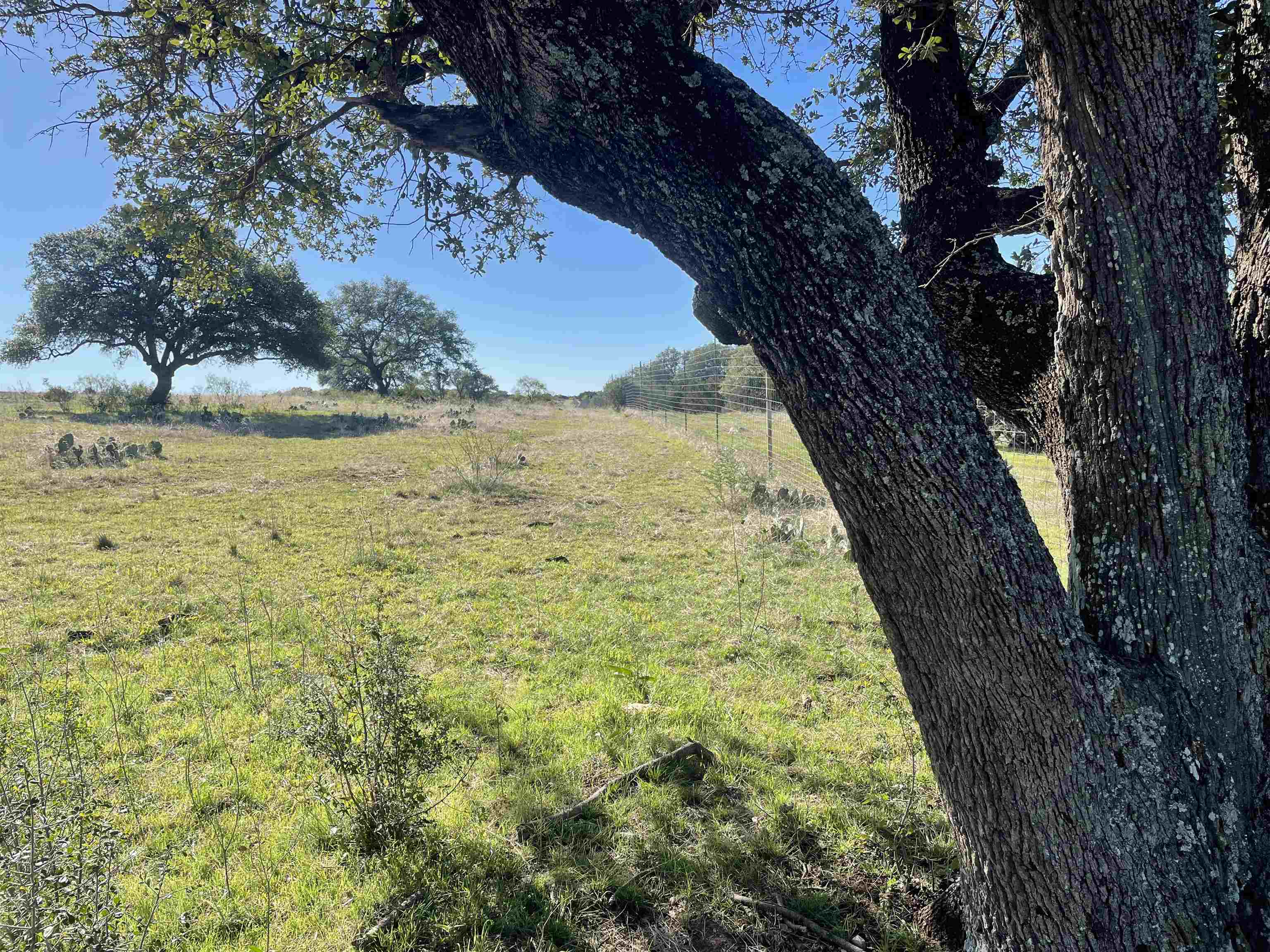 D KIRKPATRICK ABST 2238 SURV 1 LOT 122 5.01 AC ROCKY HOLLOW SUBDIVISION