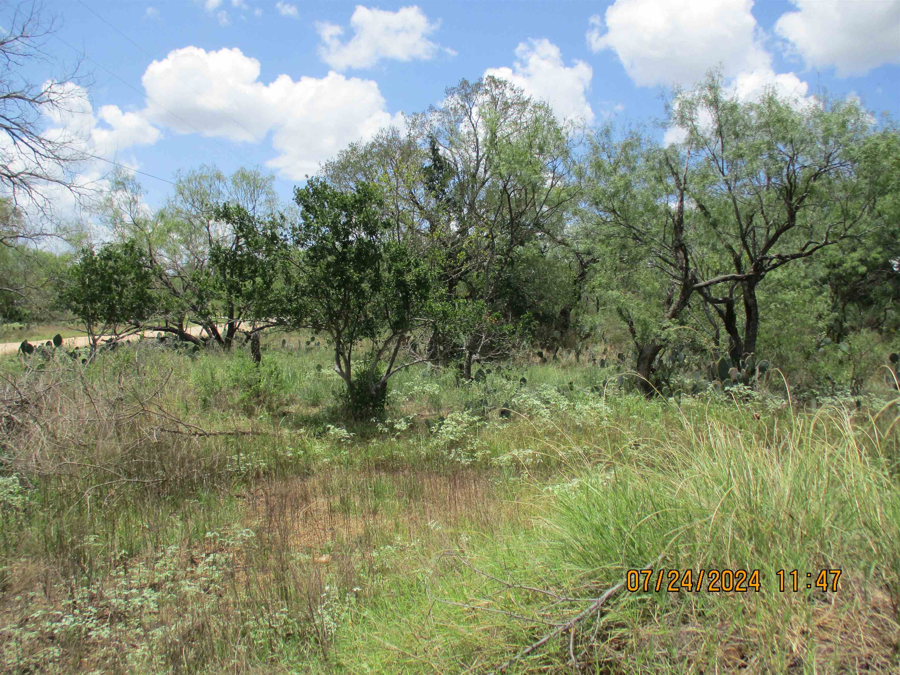 S6010 Live Oak Lot 149a
