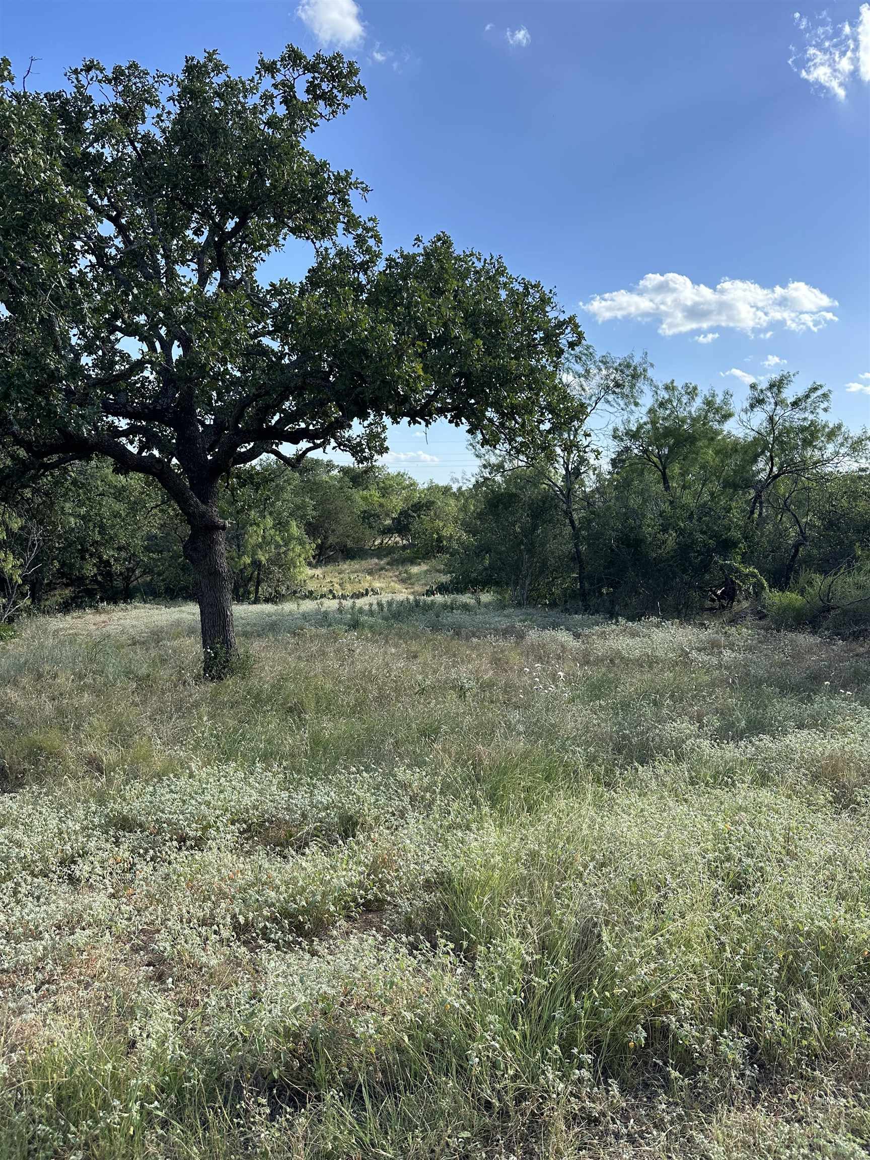 S3610 CASTLE HILLS (SHERWOOD SHORES) LOT 489