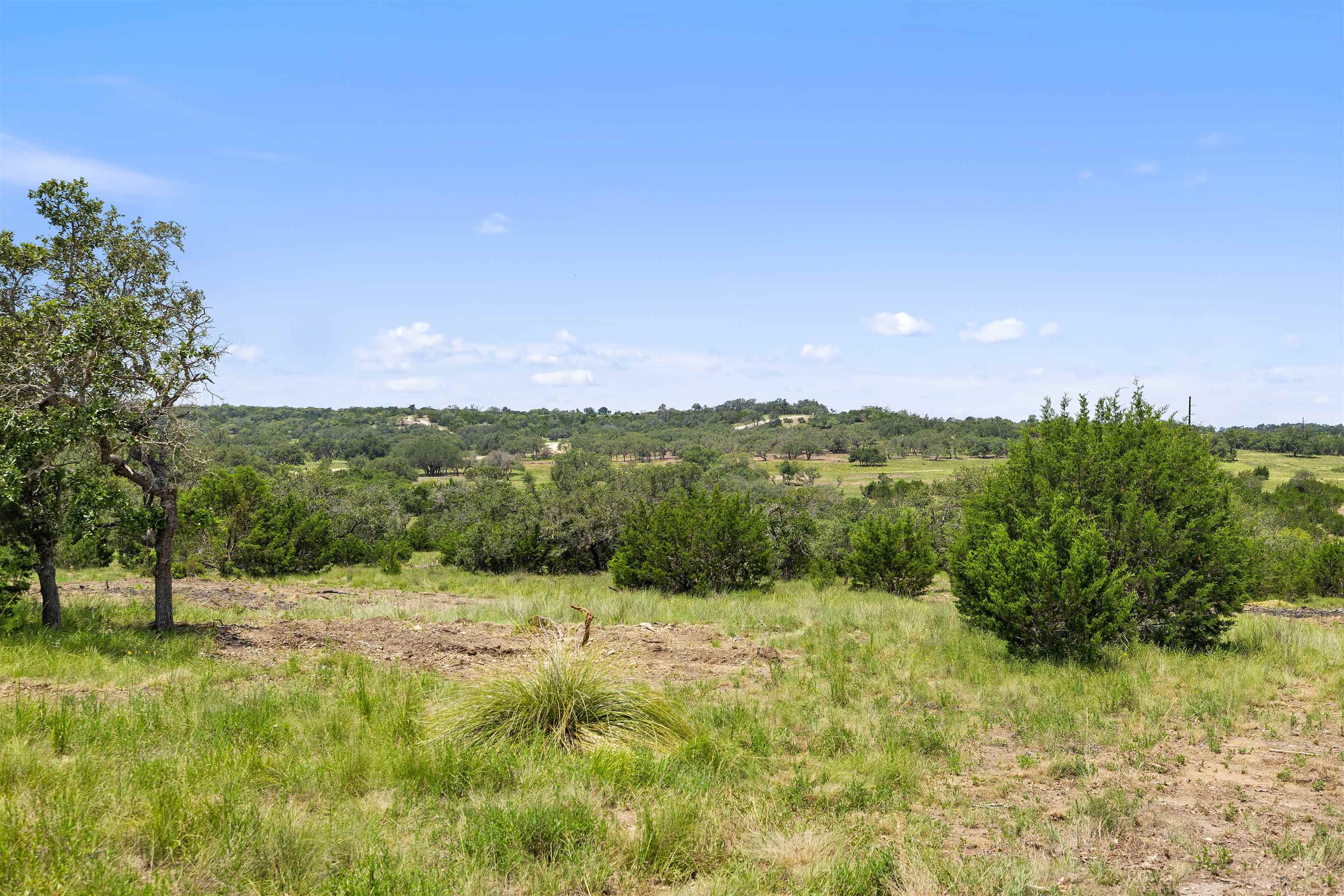 21 Acres out of Abs A0823 Ccsd & Rgng Rr Co #271, 291.62 Acres