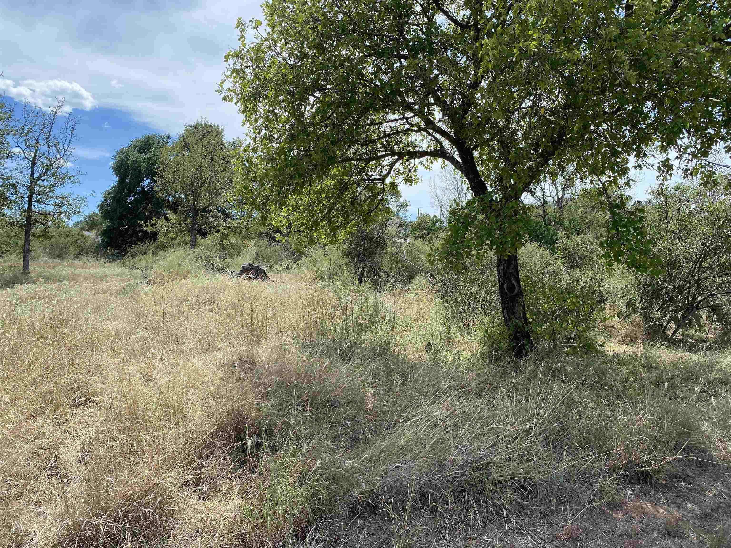 S6010 Live Oak Lot 794,S6010 Live Oak Lot 795