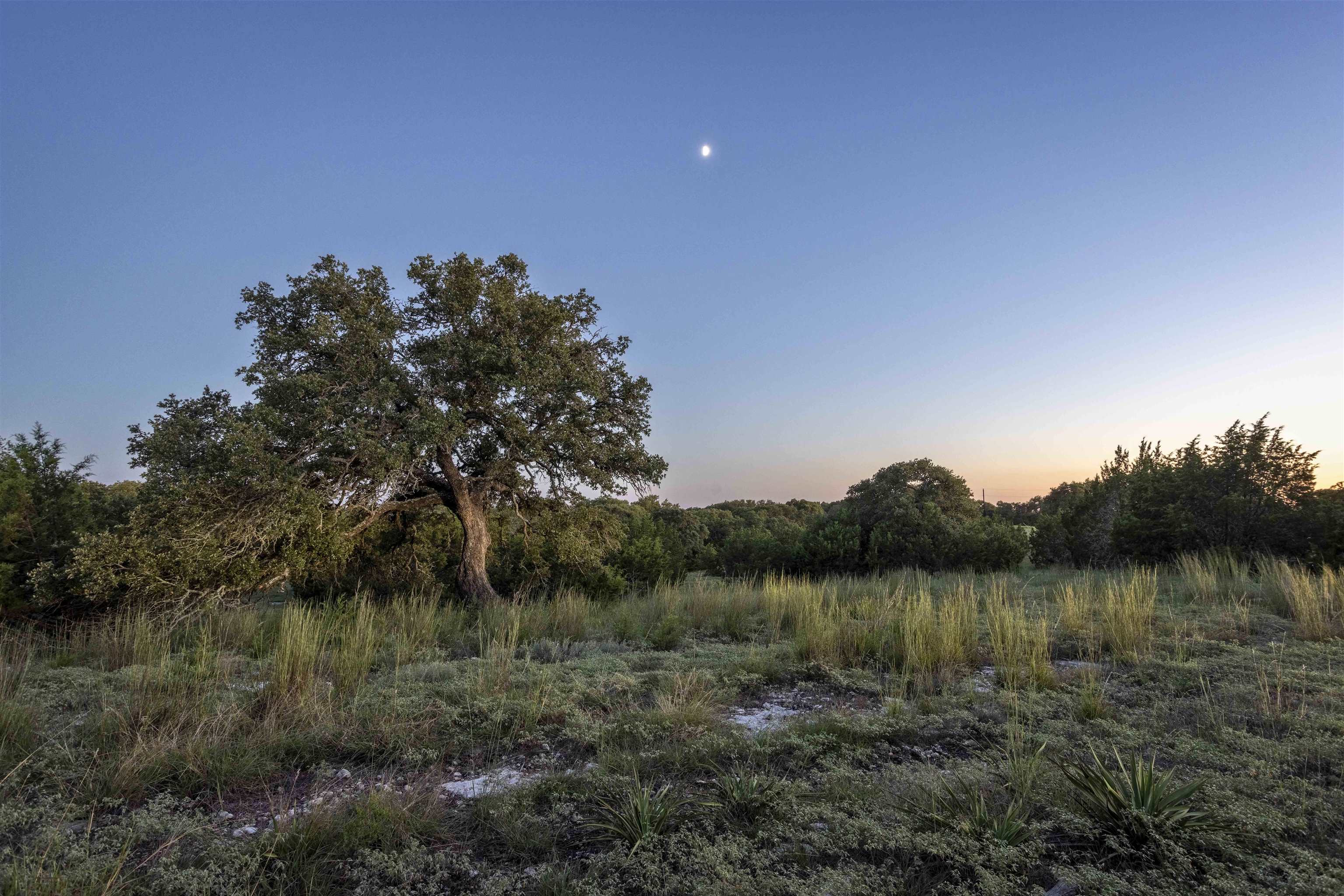 S7273 RANCHES AT BLACKBUCK RIDGE LOT 211, SEC 2, 6.0