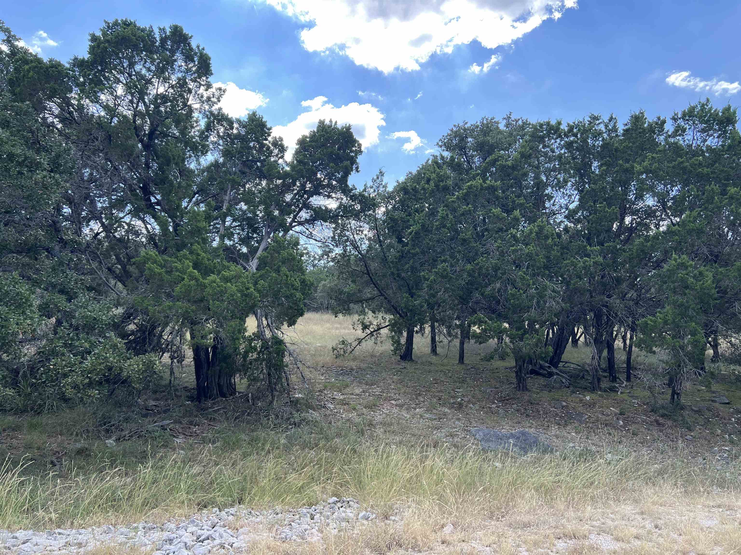 14181 Maverick Circle South, Horseshoe Bay