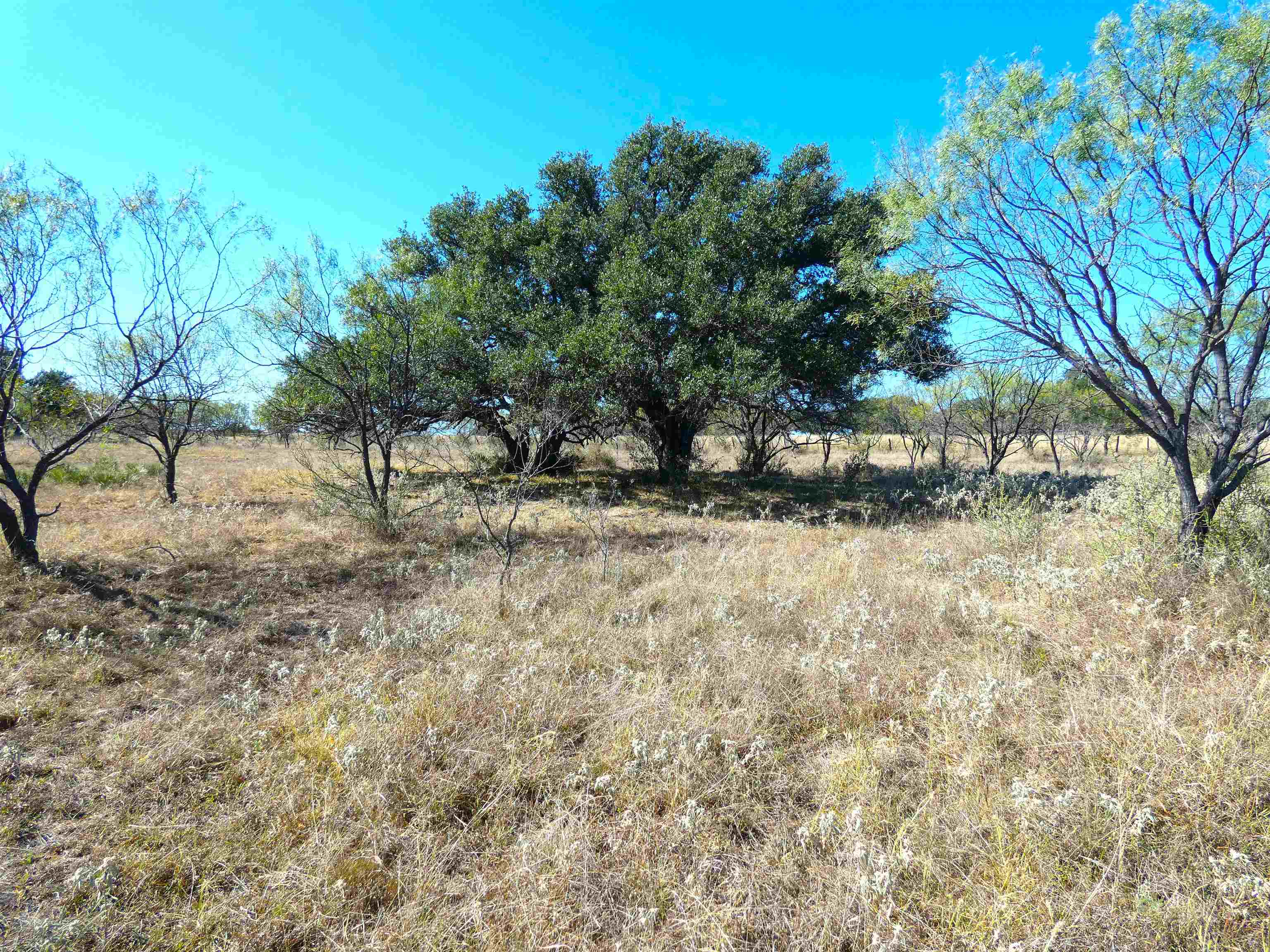 W T Savage Abst #746 42.258 ac, Llano County