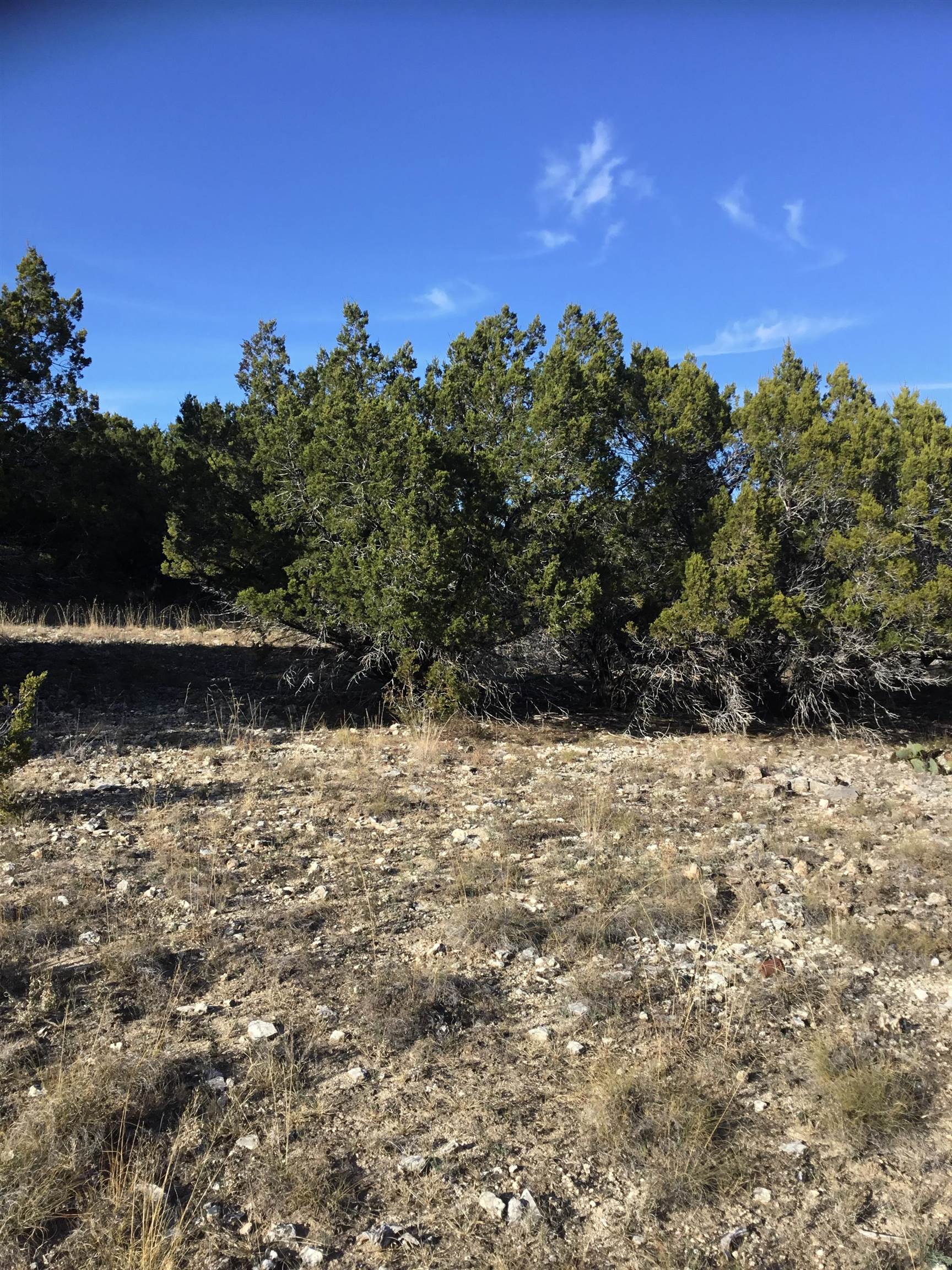 LOT 18099 *BELOW 715′ CONTOUR HIGHLAND LAKE ESTATES SEC 18