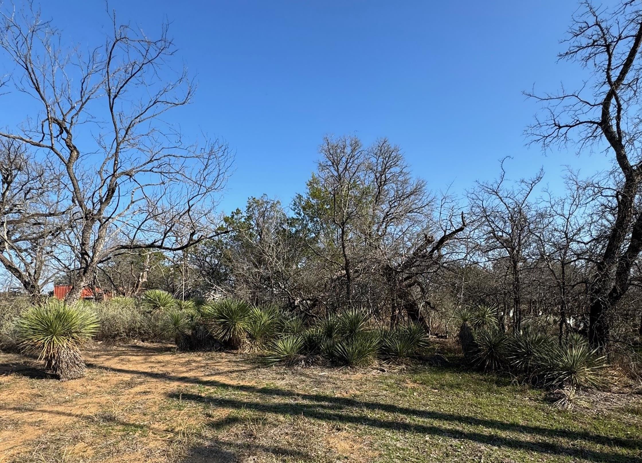Woodland Hills Lot 268