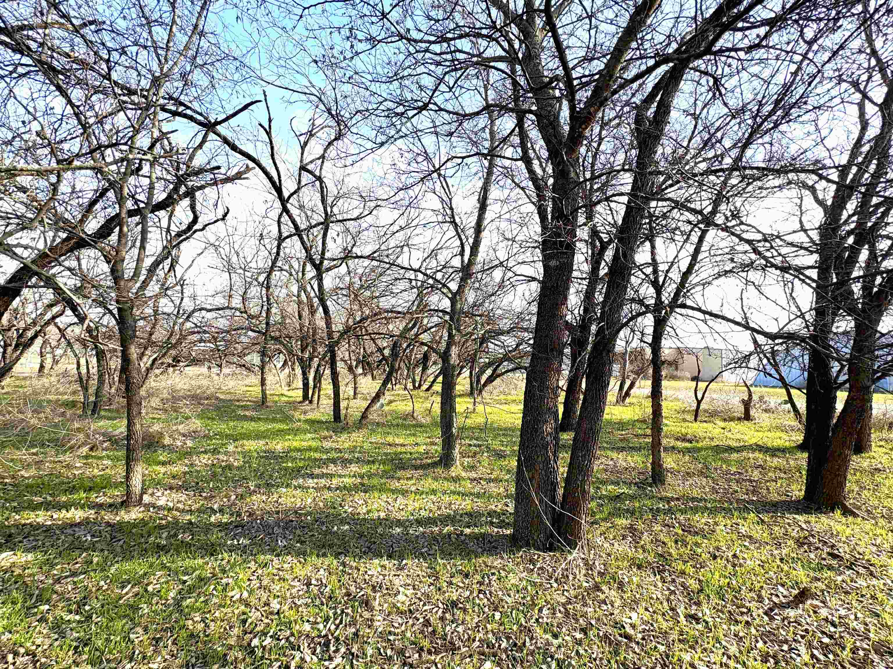 GRANITE SHOALS LAKE ESTATES LT 84