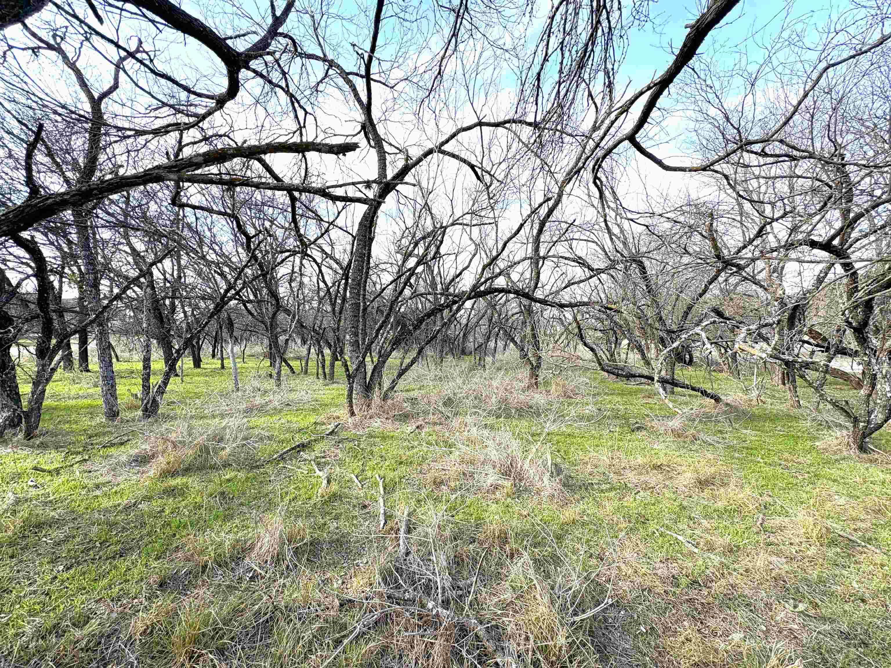 3072x2304