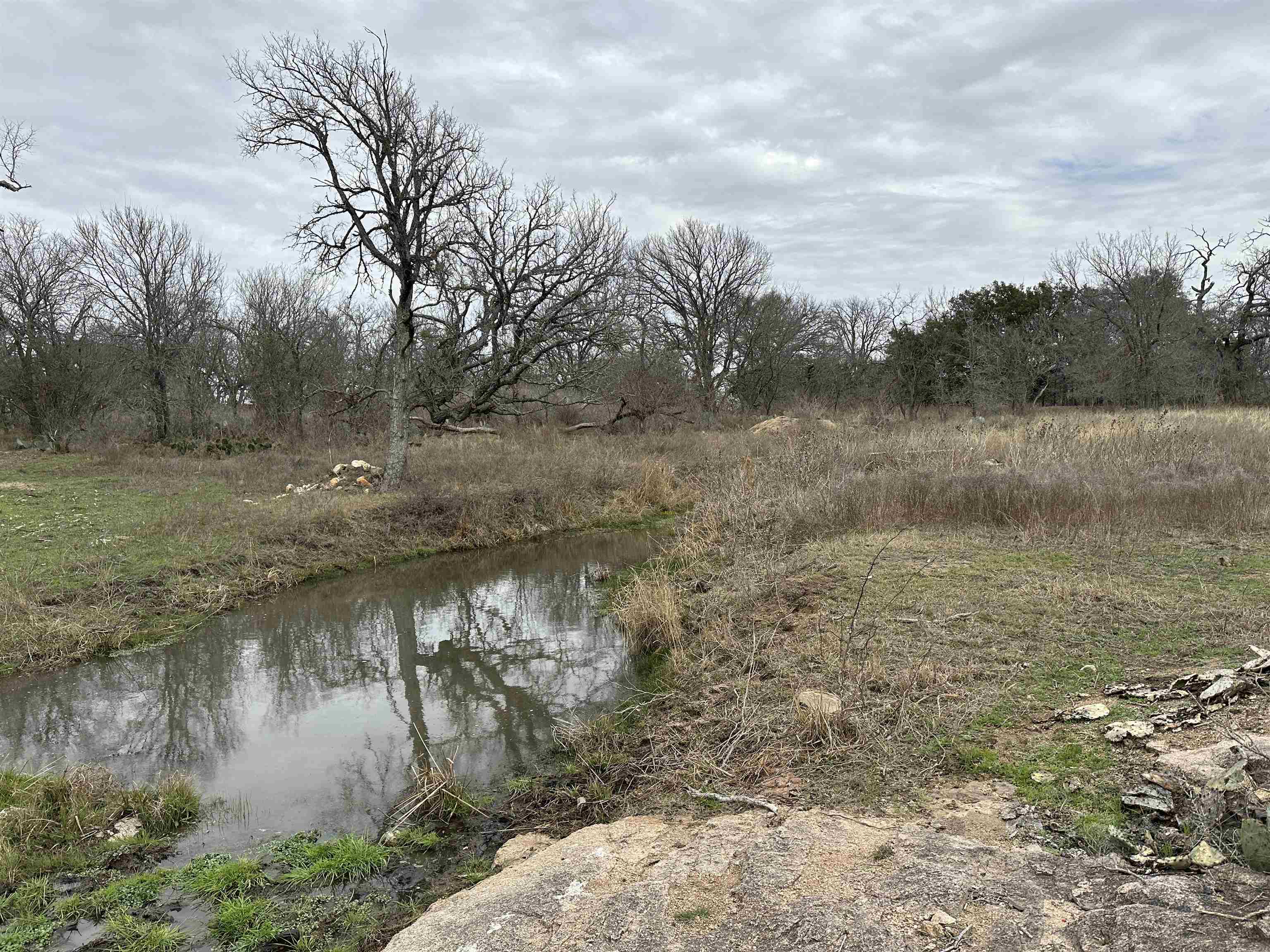 approximately 12 acres out of the Fisher Miller Abstract #233