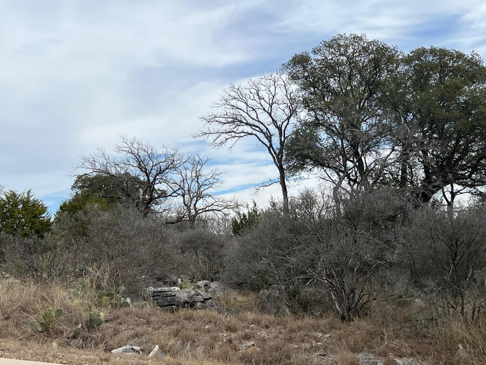 HORSESHOE BAY Lot 13092