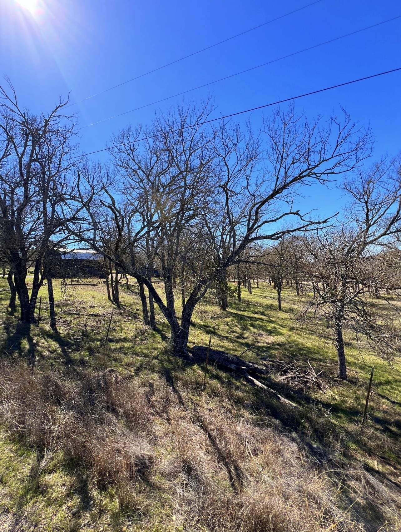 S4050 Deer Springs Lot 232 and 233