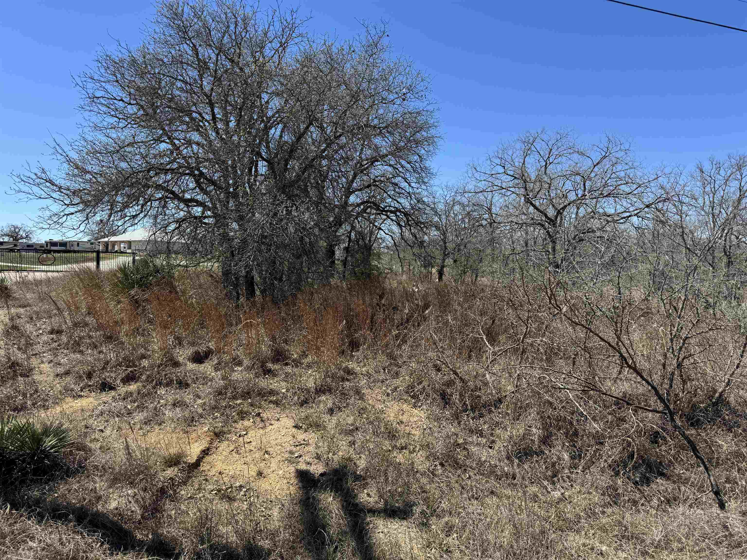 Lot 143 Woodlawn, Kingsland