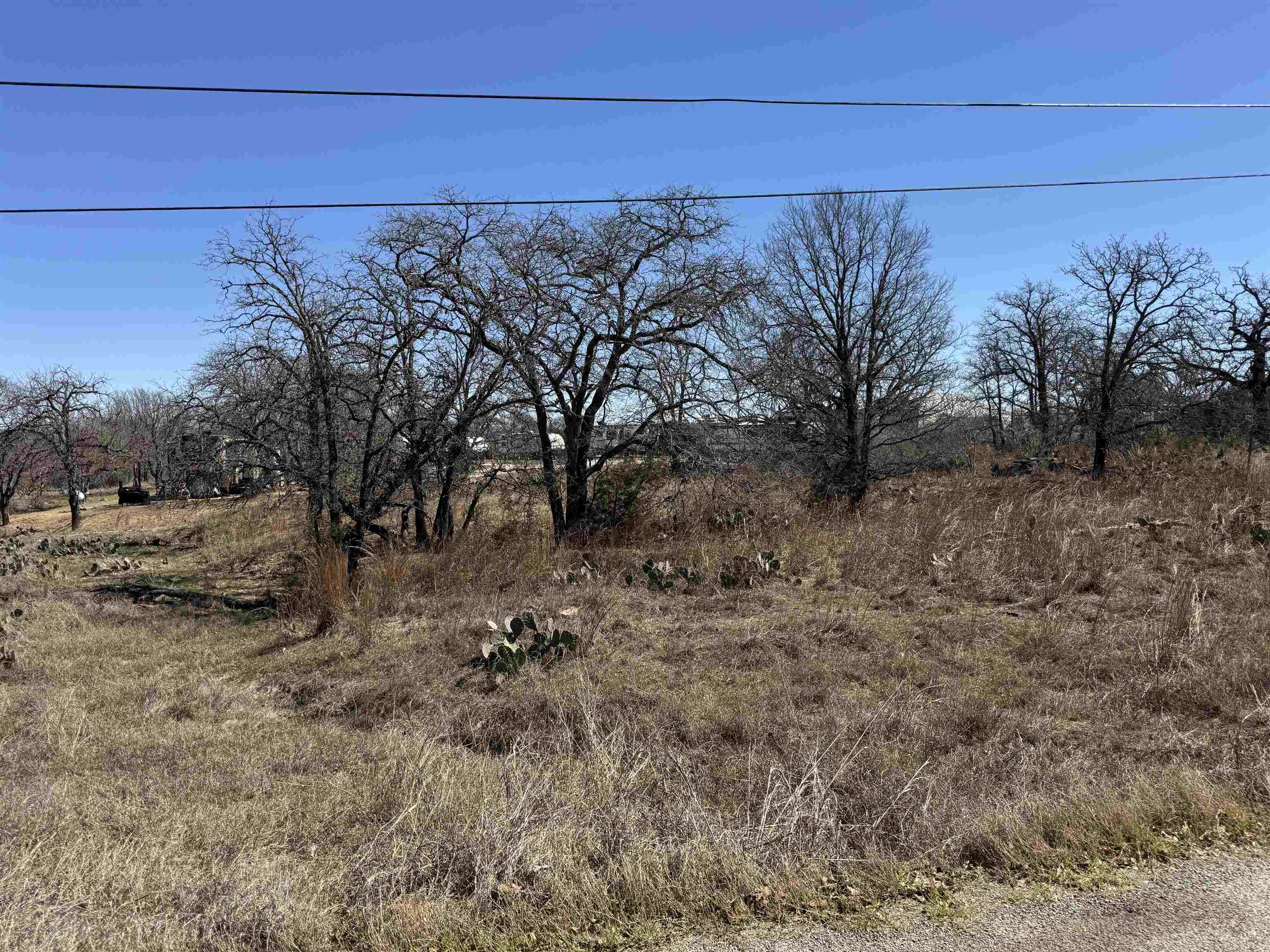 Lot 148 Woodlawn, Kingsland